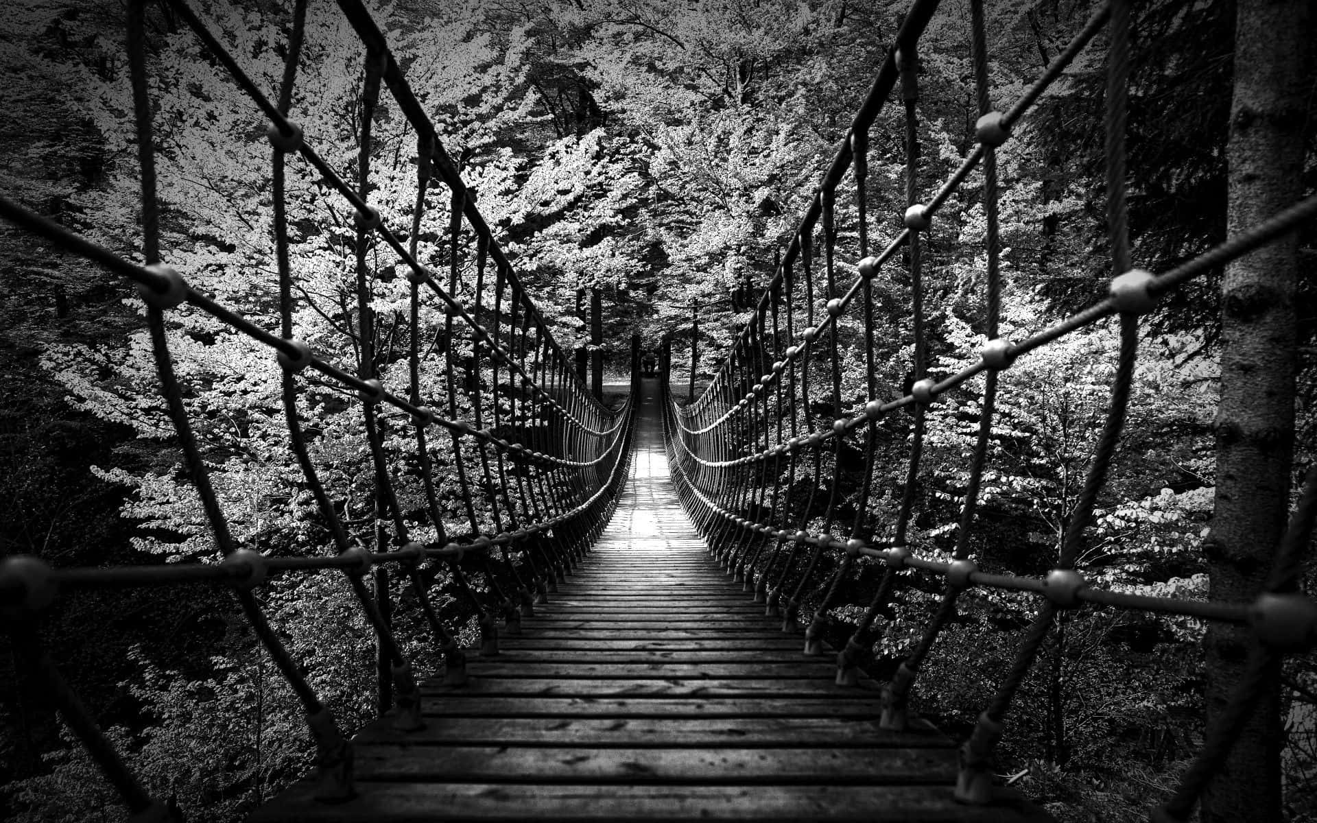 Aesthetic Black And White 桌布 壁紙 — 一張黑白照片，拍攝了一座木製吊橋蜿蜒穿過茂密的森林，光線穿過樹木。
