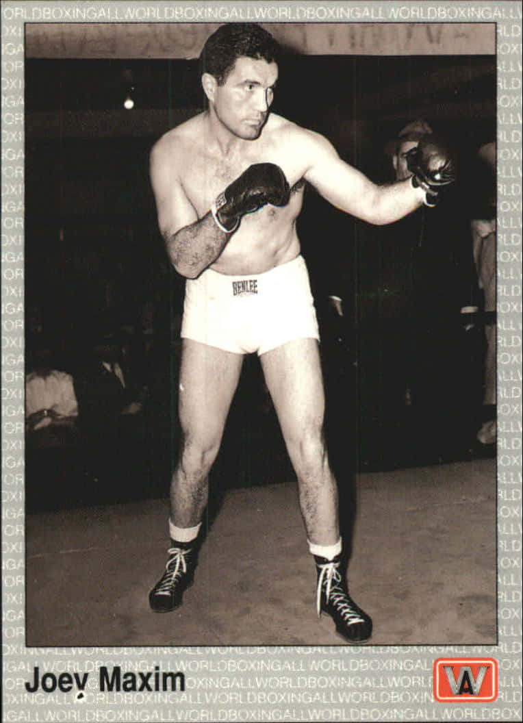 Boxing 桌布 壁紙 — 一張黑白照片，拳擊手Joey Maxim戴著手套和短褲，擺出戰鬥姿勢。