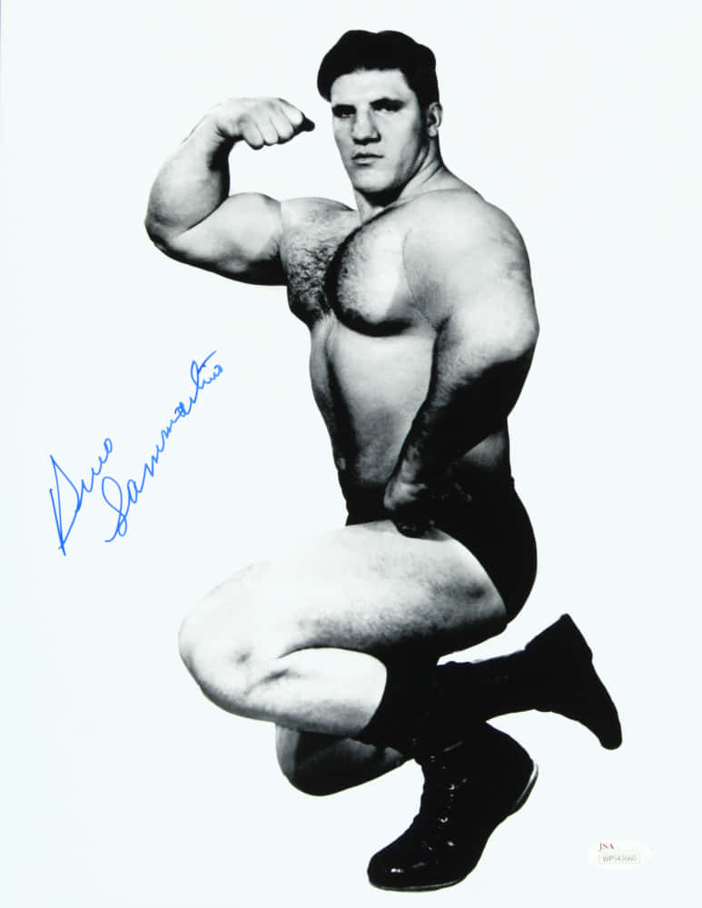 攝影 桌布 壁紙 — 一張黑白照片，摔角手 Bruno Sammartino 以經典姿勢蹲下，展示他的二頭肌。