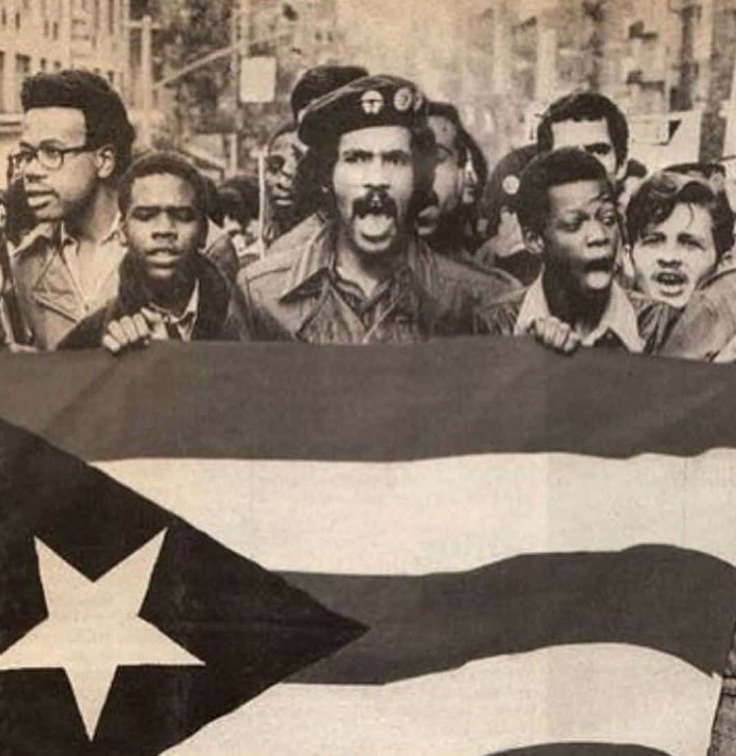 Black Panther Party 桌布 壁紙 — 一張黑白照片，顯示抗議者在街頭示威中手持波多黎各旗幟，表情強烈。