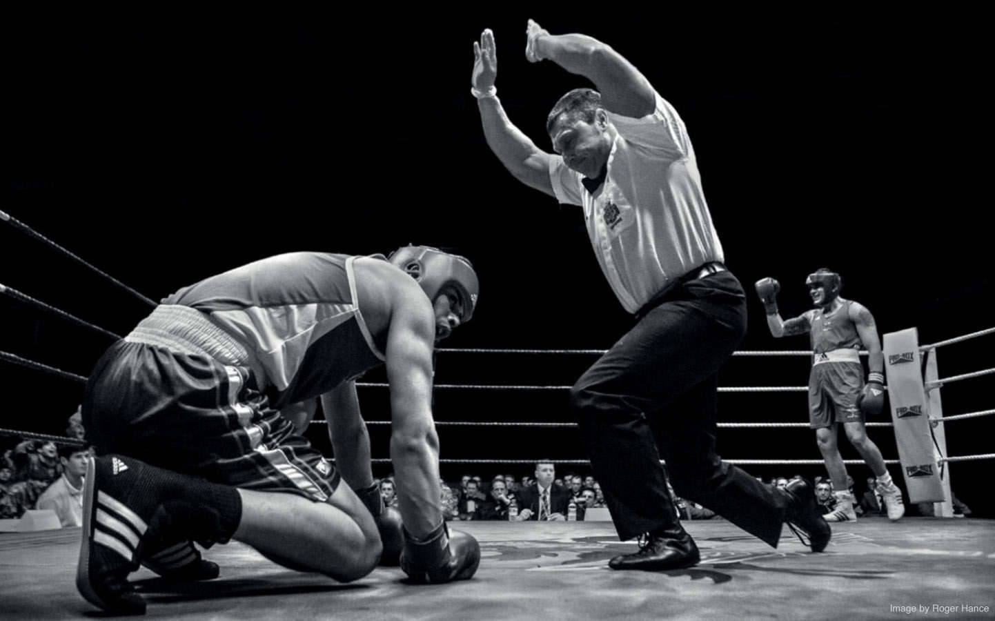 Boxing 桌布 壁紙 — 一張黑白照片捕捉了拳擊比賽的瞬間，裁判舉起勝者的手，而落敗的拳擊手跪在擂台上。