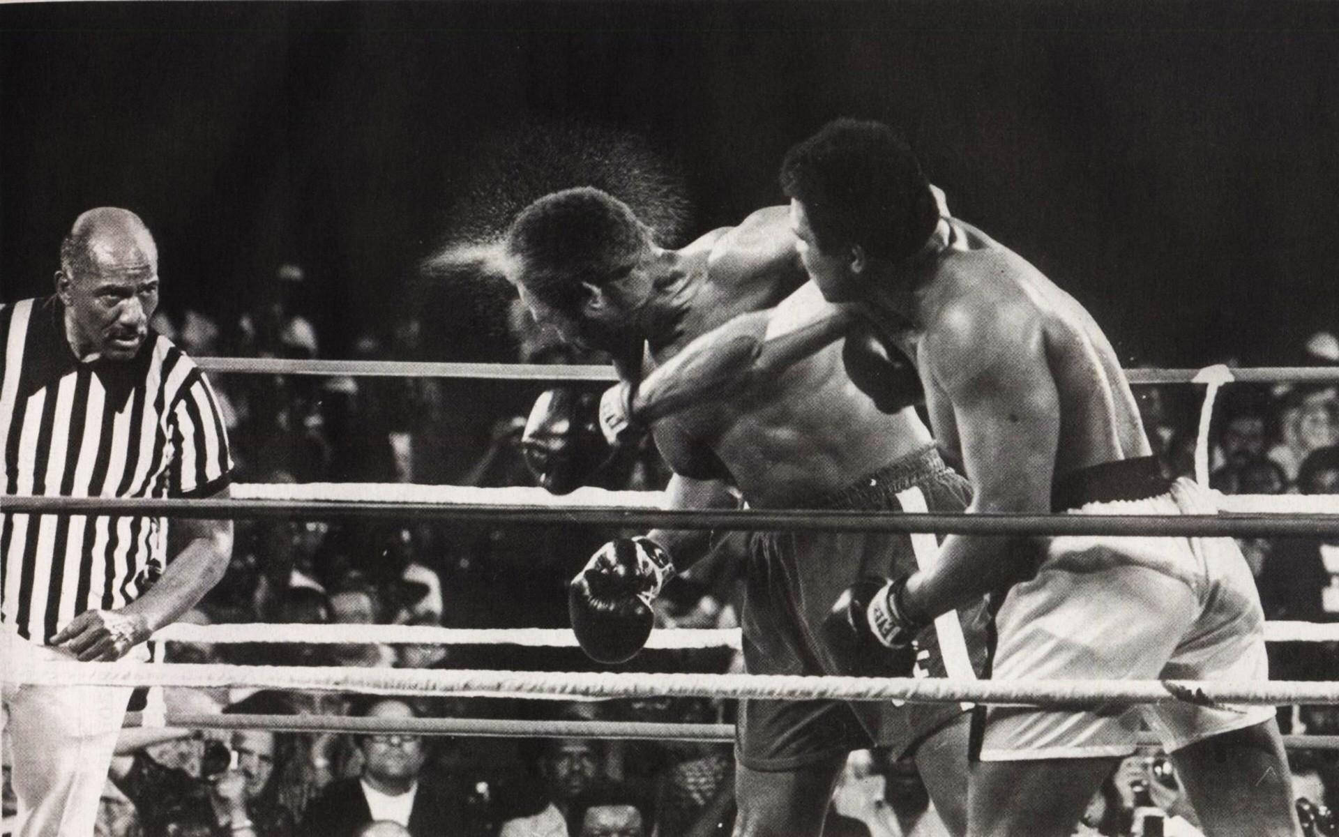 Boxing 桌布 壁紙 — 一張黑白照片捕捉到一名拳擊手在擂台上向對手打出強力一拳，裁判專注地觀看。