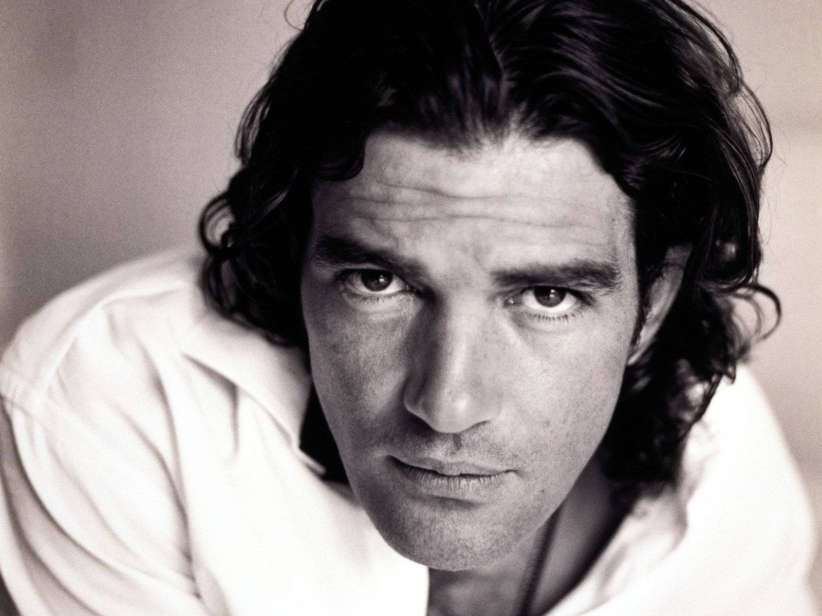 antonio banderas 桌布 壁紙 — 一張黑白特寫肖像，一名眼神銳利、深色波浪髮的男子直視鏡頭。