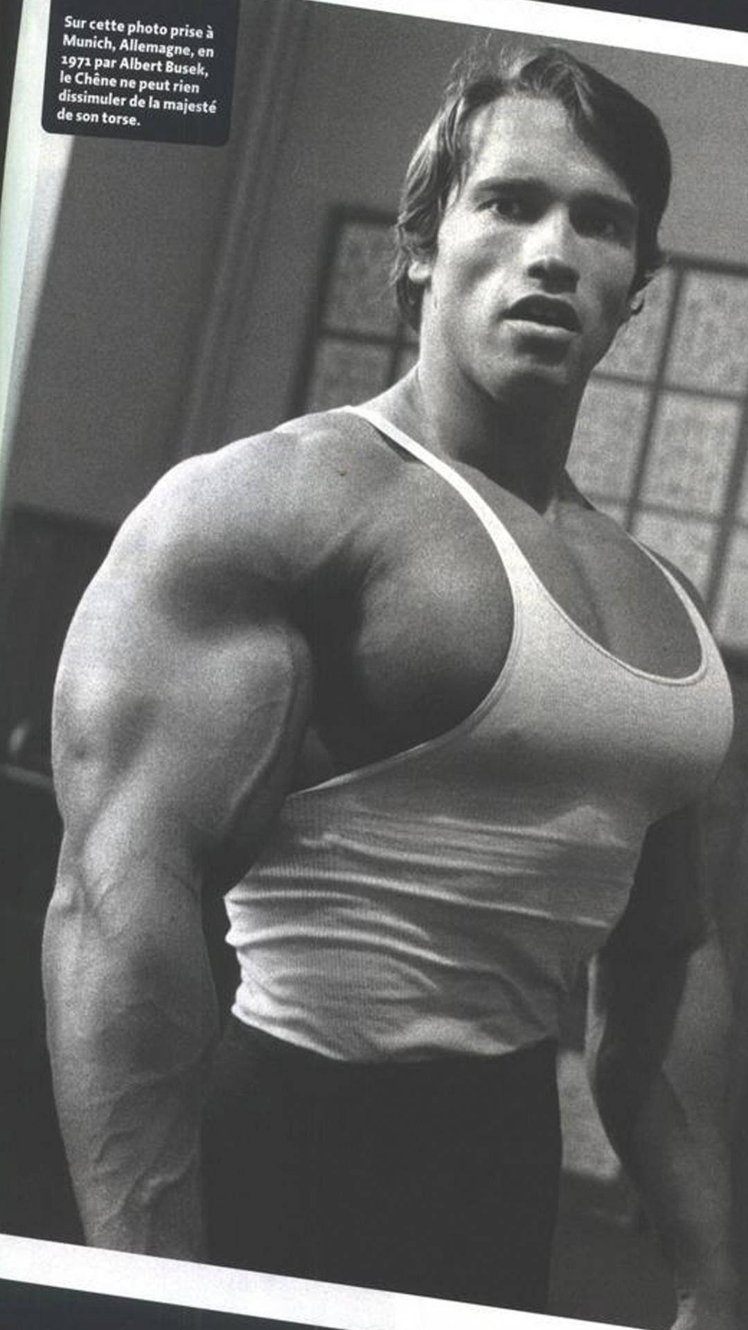Arnold 桌布 壁紙 — 一張黑白肖像，一名肌肉發達的男子穿著背心，在室內戲劇性燈光下彎曲肱二頭肌。