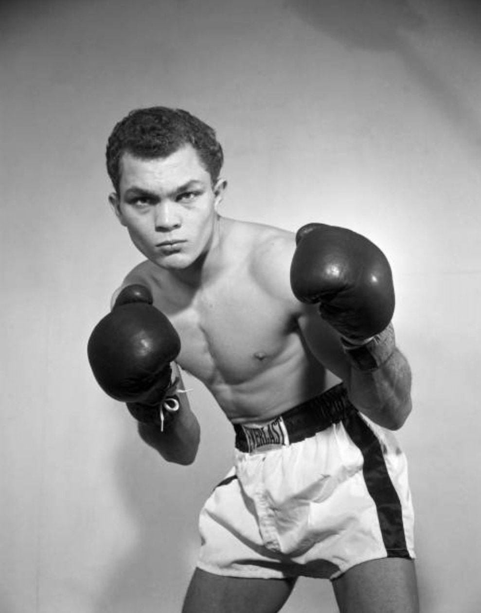Boxing 桌布 壁紙 — 一張黑白肖像照，展示一位肌肉發達的拳擊手身穿Everlast短褲和手套，以專注的神情擺出姿勢。