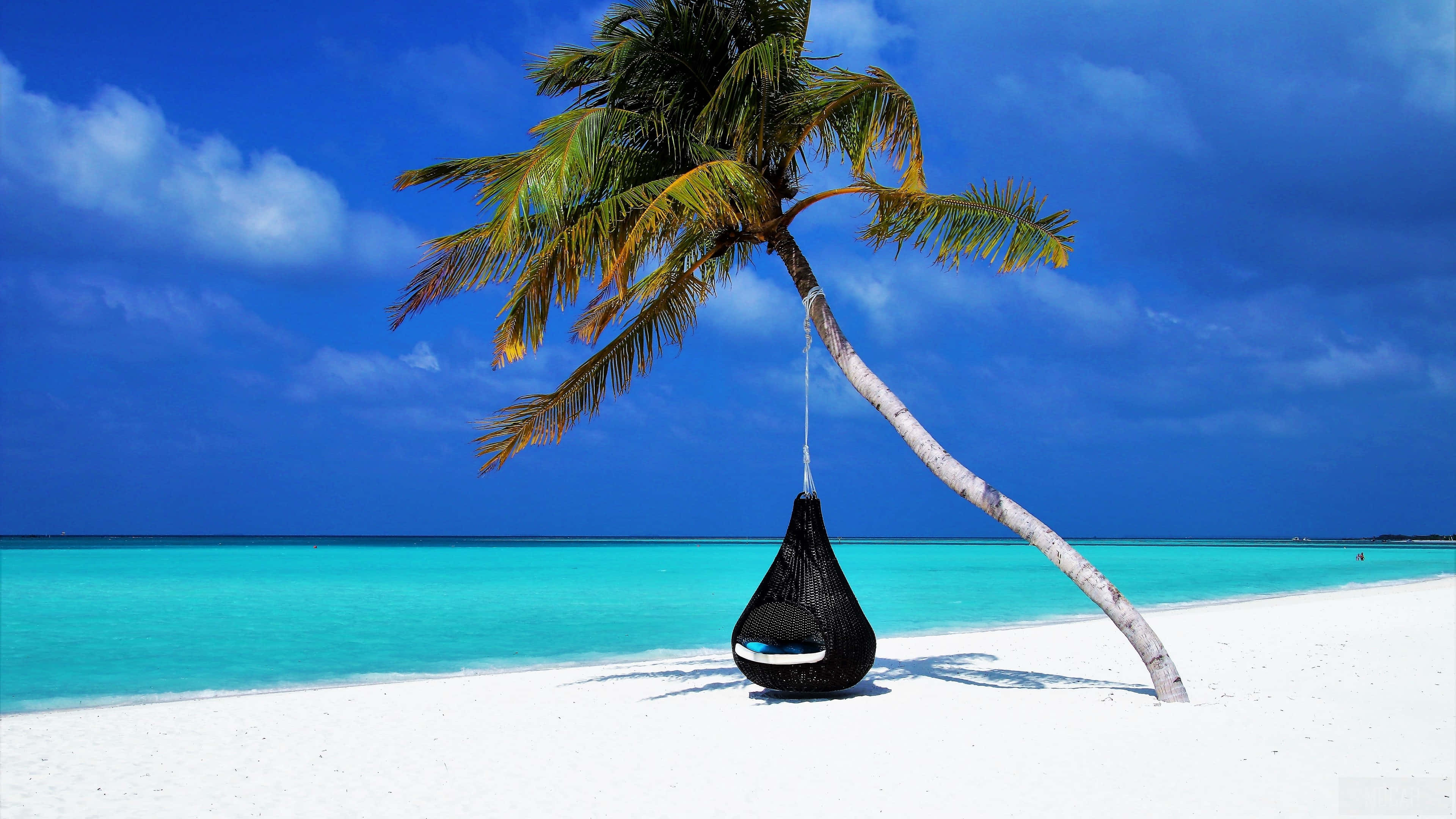 Summer Beach 桌布 壁紙 — 一張黑色吊椅在傾斜的棕櫚樹下搖擺，位於純淨的白色沙灘上，伴隨著碧綠的海洋和深藍色的天空。