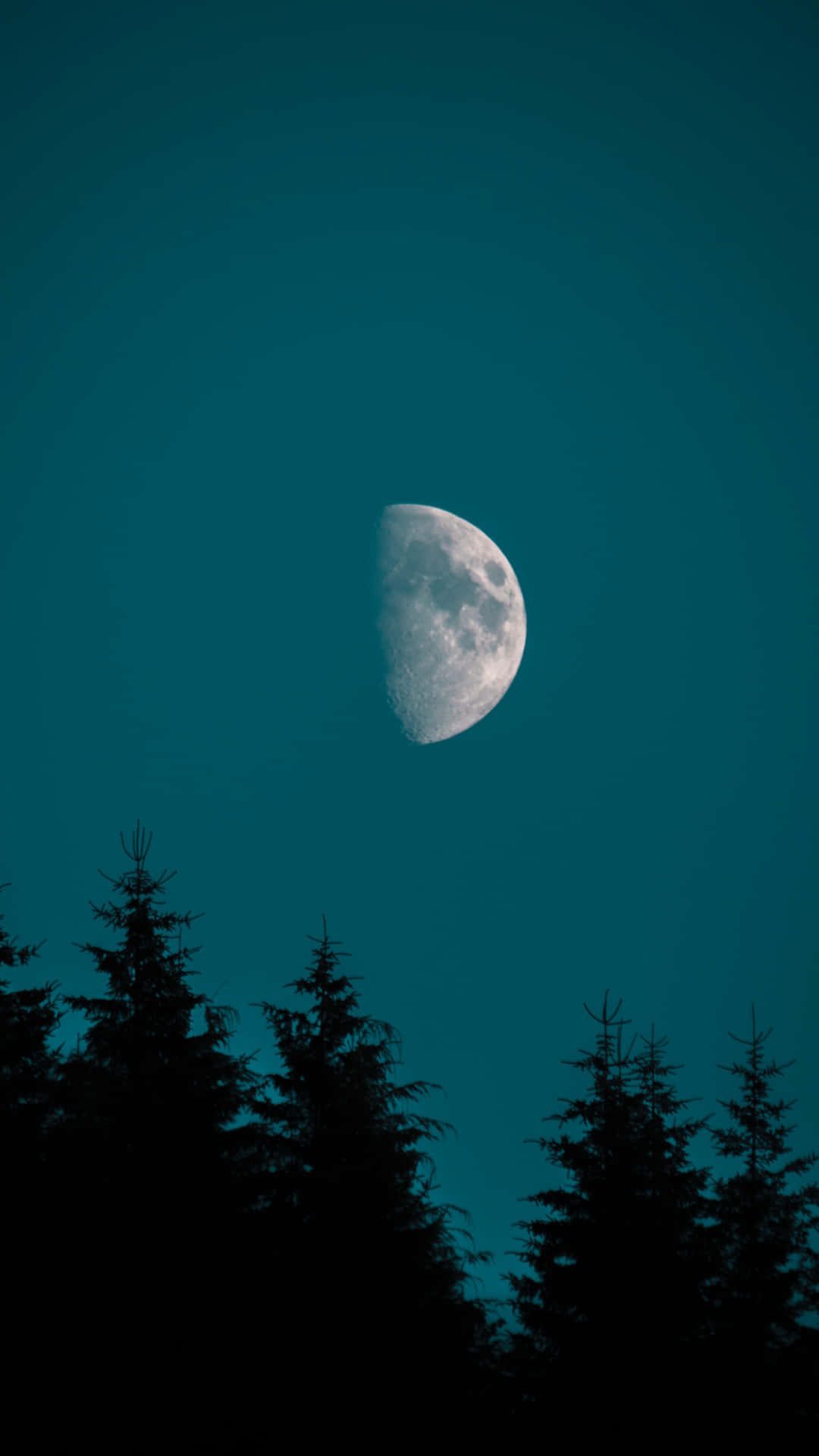 樹木 桌布 壁紙 — 一彎新月在深藍綠色夜空下閃耀，映襯著松樹的黑暗剪影。