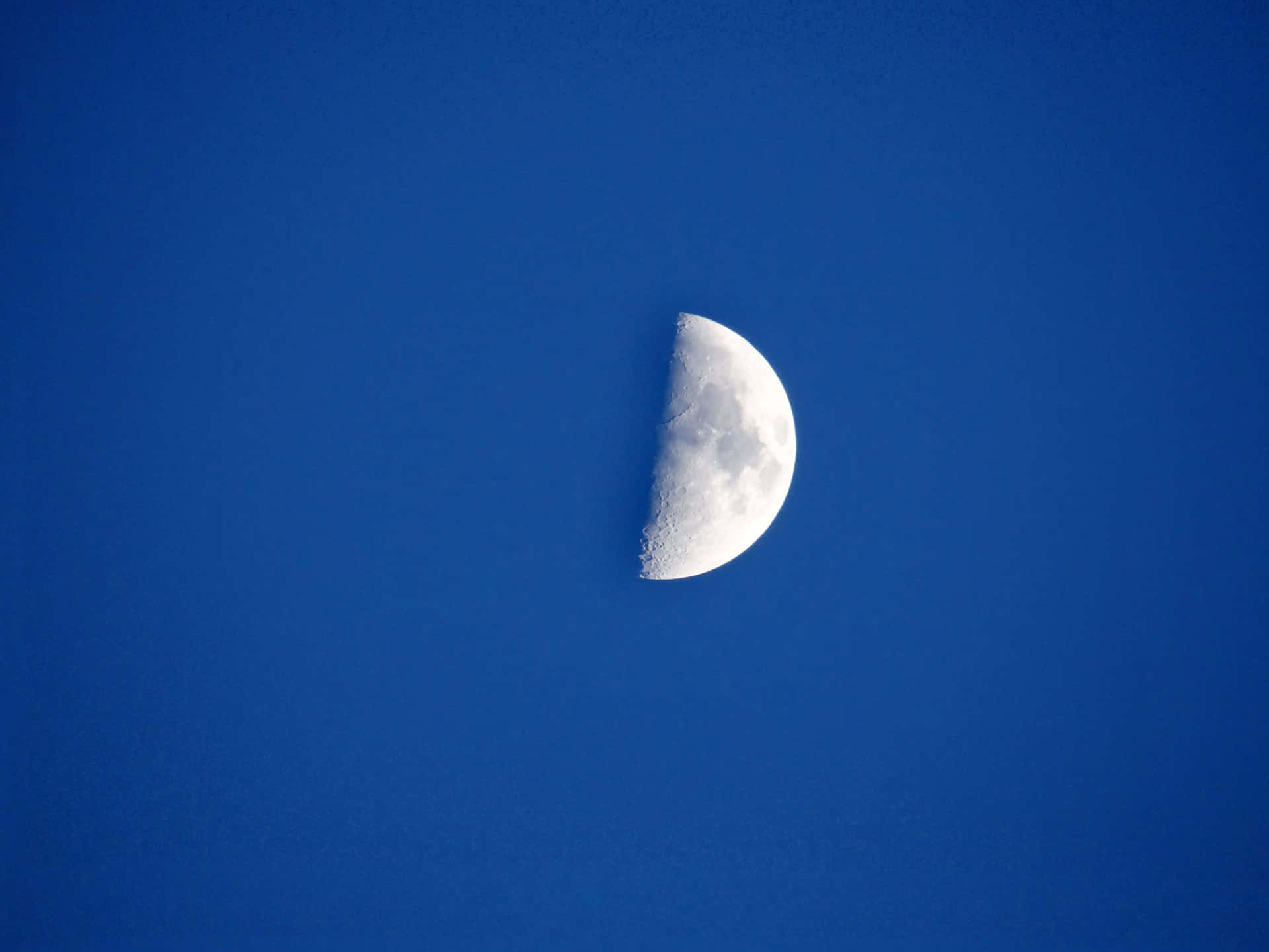 Half Moon 桌布 壁紙 — 一彎清晰的月牙孤獨地懸掛在深靛藍色的天空中，其佈滿隕石坑的表面柔和地發光。