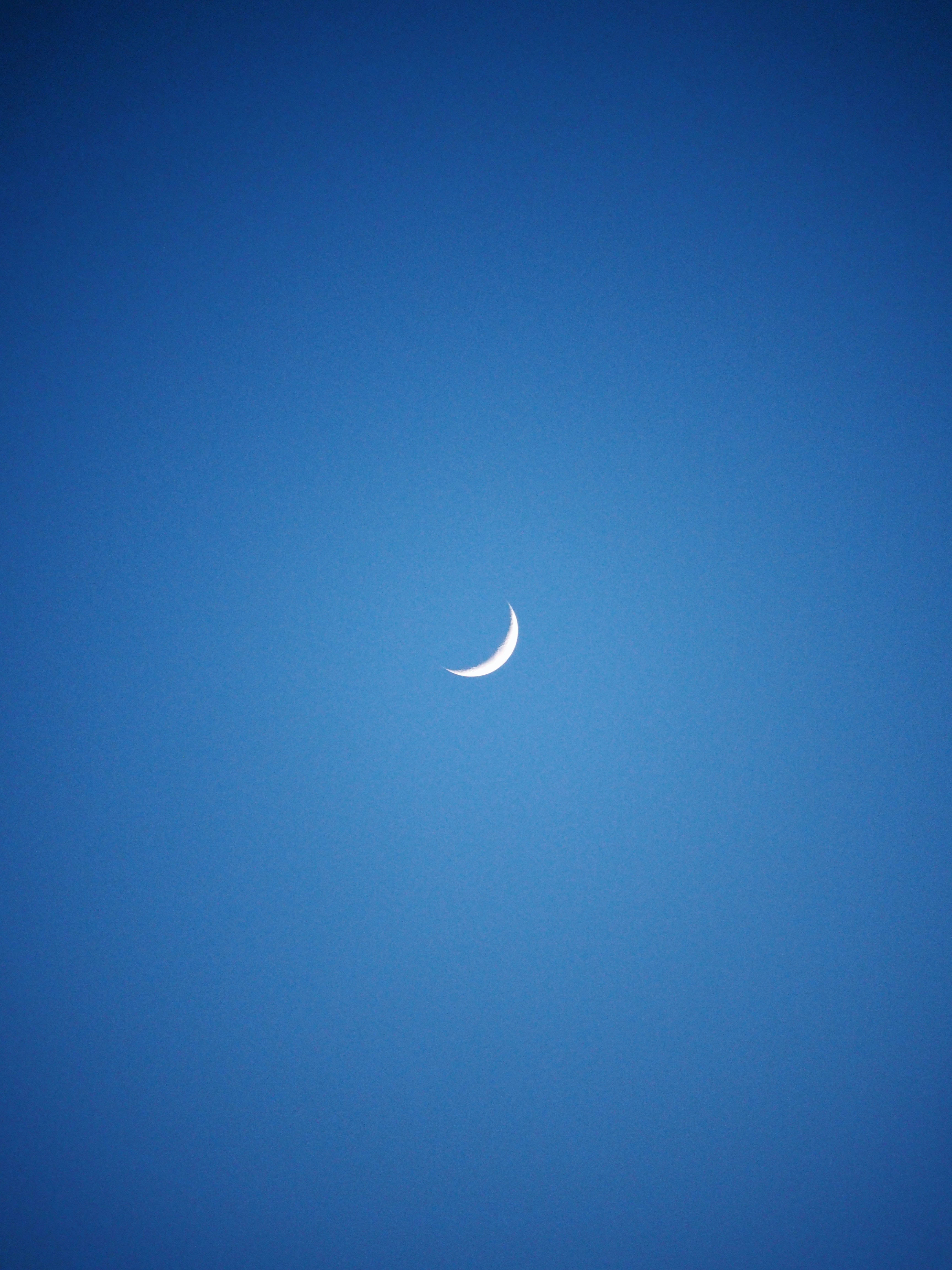 Crescent 桌布 壁紙 — 一彎精緻的月牙在廣闊清澈的藍色暮色天空中柔和發光。