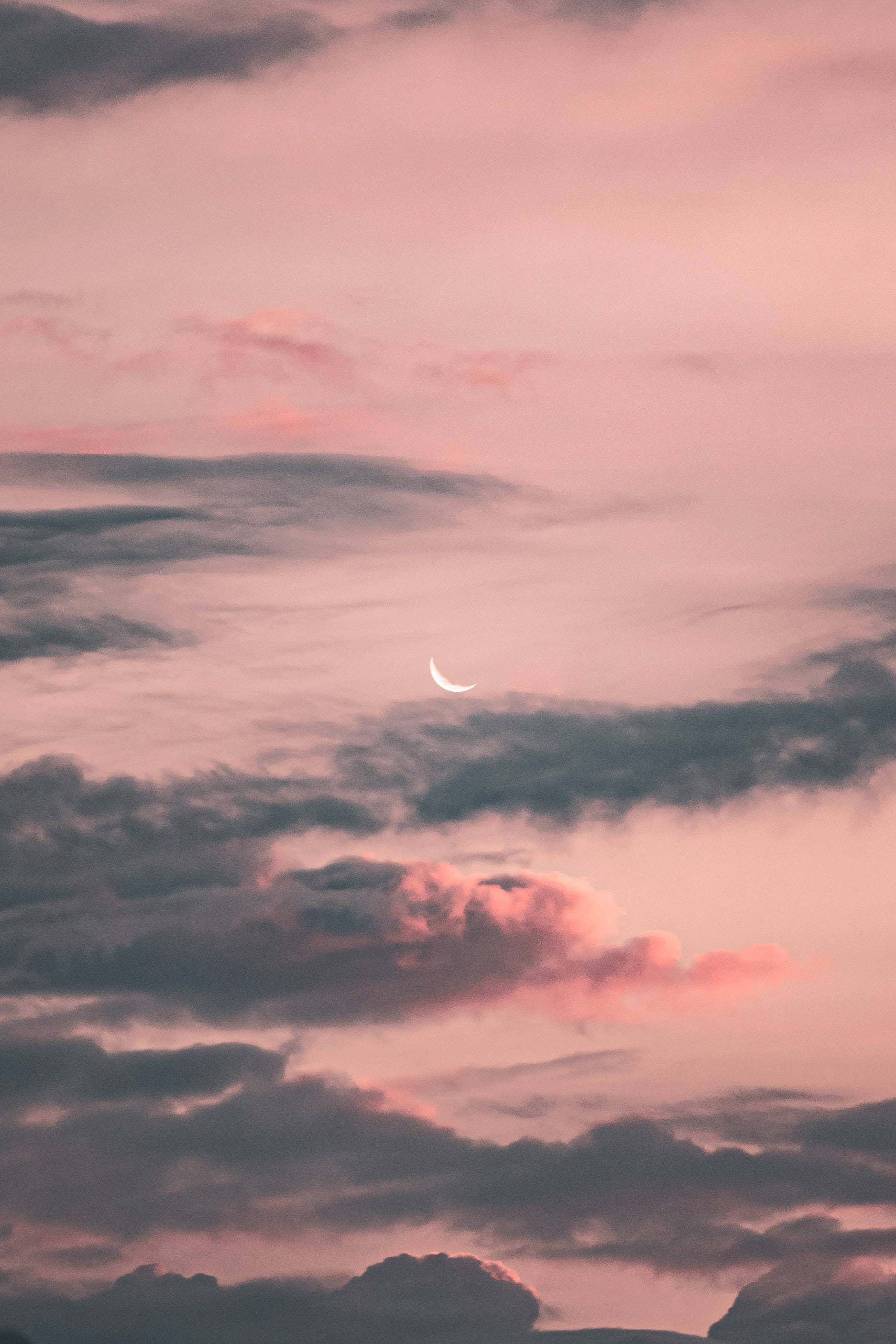 Crescent 桌布 壁紙 — 一彎纖細的月牙在佈滿薄雲的粉彩粉紅與灰色暮色天空中柔和發光。