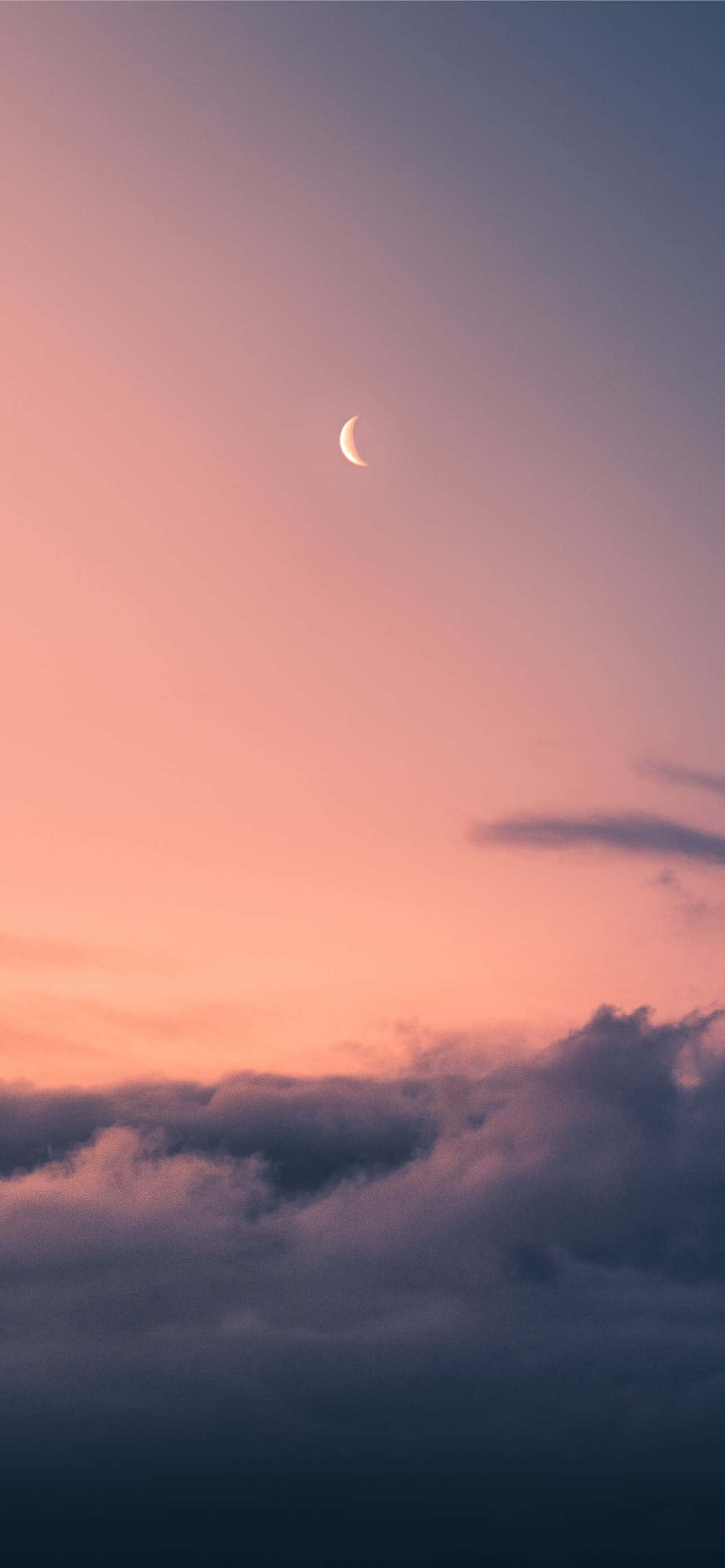 Clouds Aesthetics 桌布 壁紙 — 一彎纖細的月牙在沐浴著柔和粉紅與紫色暮光的雲海上發光。