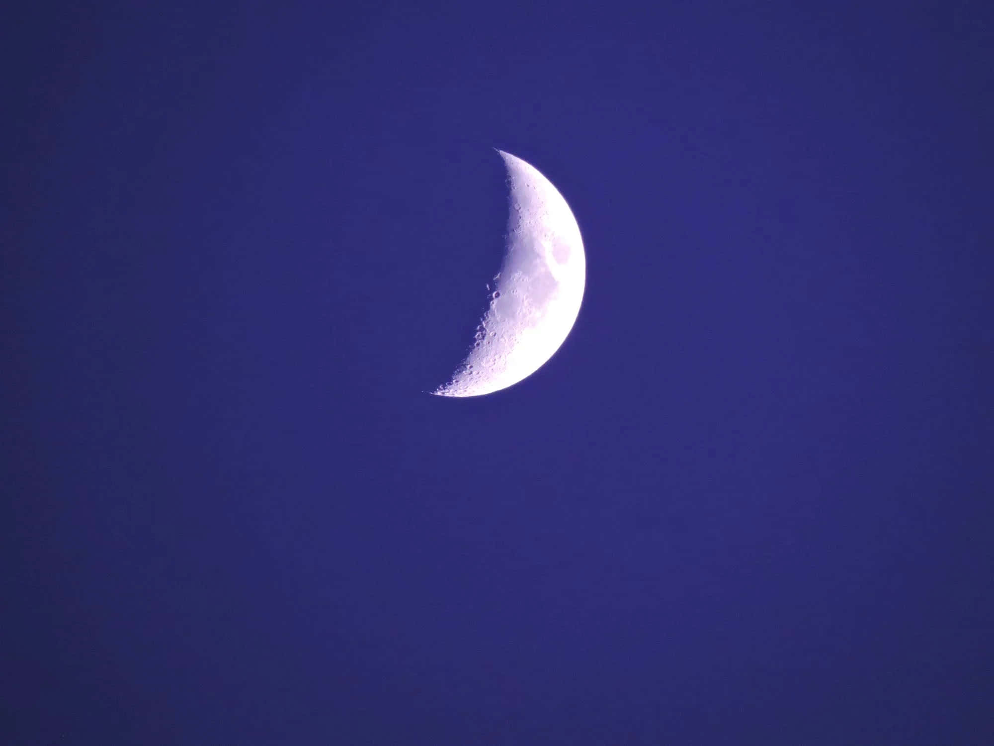 Half Moon 桌布 壁紙 — 一彎纖細的月牙在沒有雲層或星星的深靛藍夜空下柔和地發光。