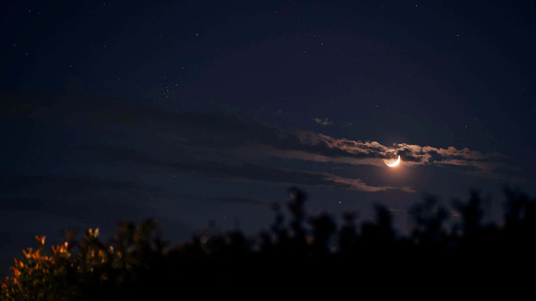 夜空 桌布 壁紙 — 一彎纖細的月牙在縷縷雲層後發光，映襯著繁星點點的夜空，下方是剪影般的樹梢。