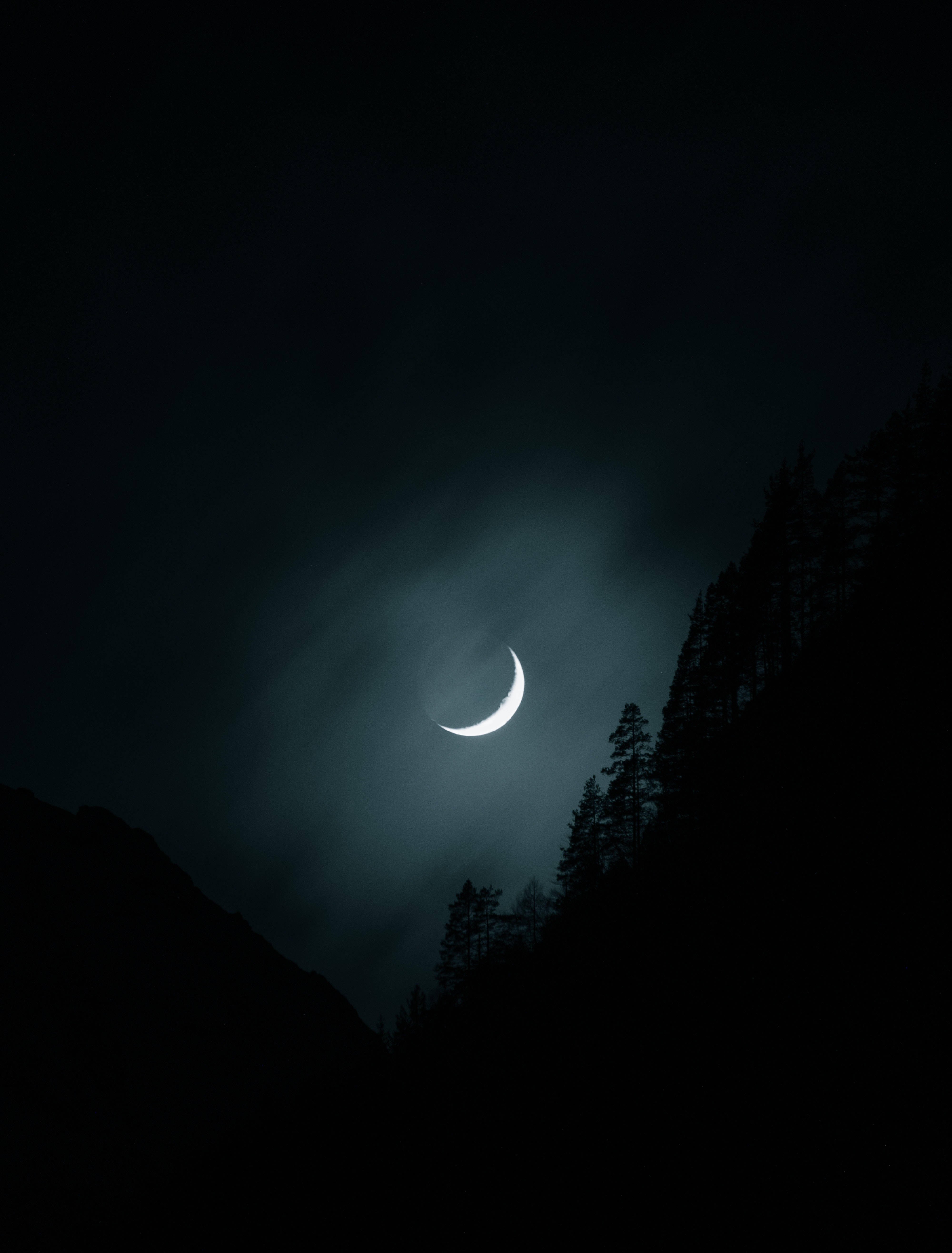 Crescent 桌布 壁紙 — 一彎纖細的月牙在陰暗的夜空下，於漆黑的山巒和松樹剪影上方柔和地發光。