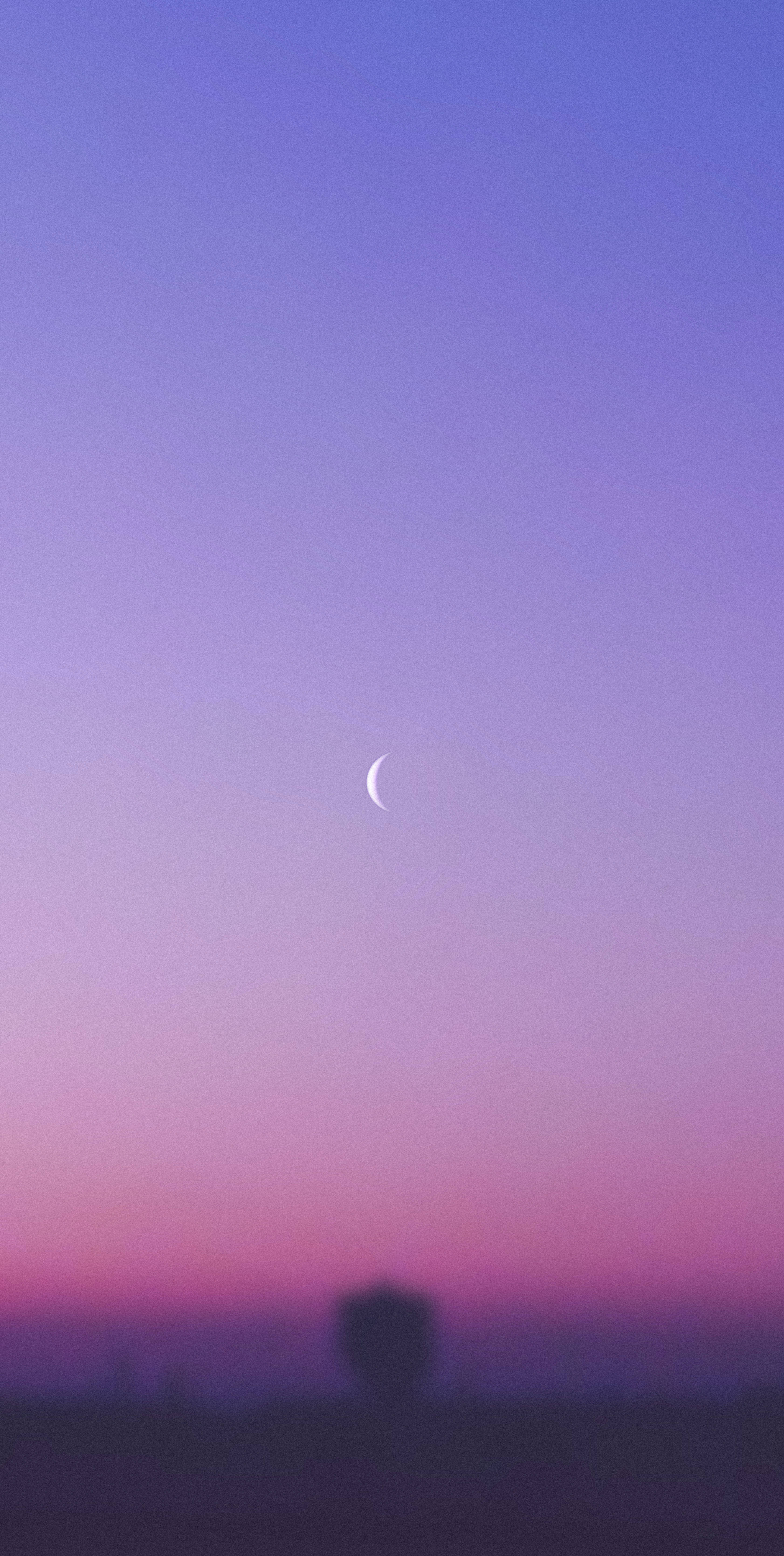 Crescent 桌布 壁紙 — 一彎纖細的月牙懸掛在漸變的暮色天空中，從紫色過渡到粉紅色，下方是模糊的地平線。