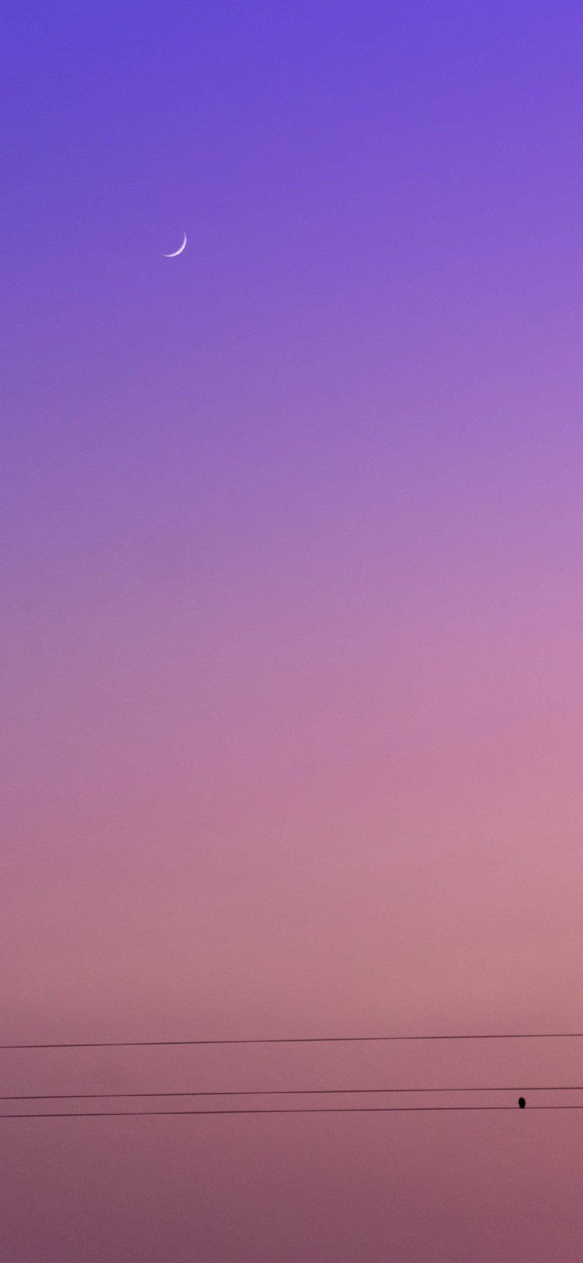 Purple Aesthetic Phone 桌布 壁紙 — 一彎纖細的月牙懸掛在漸變紫色和粉紅色的暮色天空中，下方是遠處的電線。