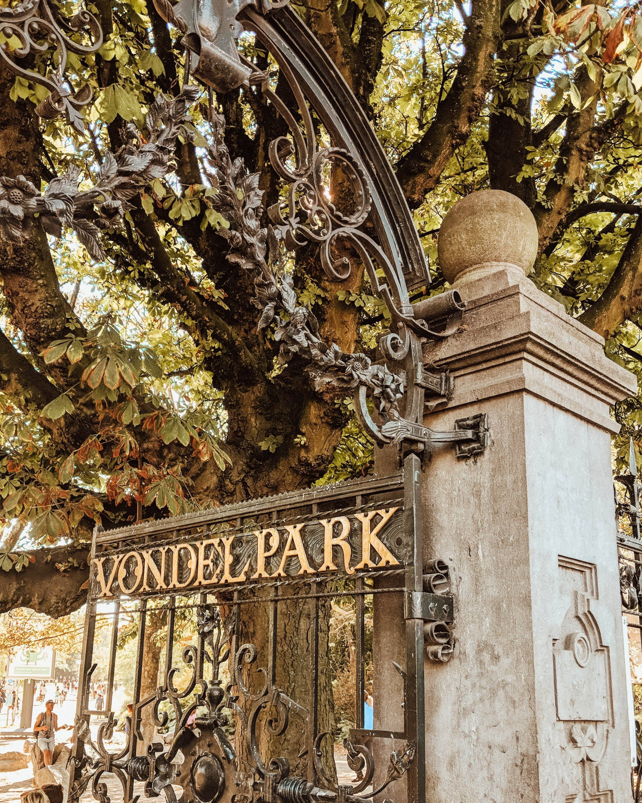Amsterdam 桌布 壁紙 — 一扇帶有「VONDEL PARK」標誌的華麗鍛鐵大門，矗立在秋葉和彎曲樹枝形成的樹冠下。