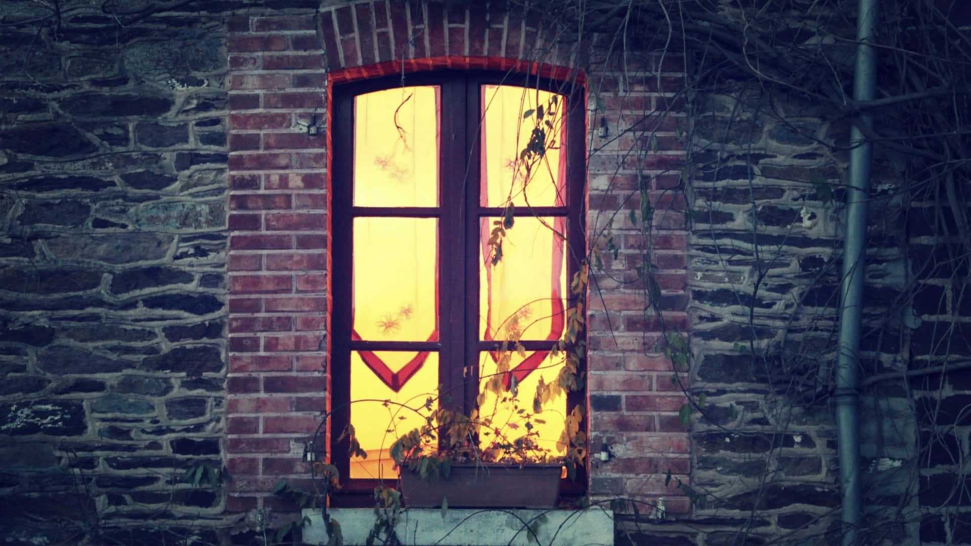 window 桌布 壁紙 — 一扇溫暖照明的窗戶，帶有紅色窗框和攀爬藤蔓，在黃昏時分映照在深色石頭和磚牆上。