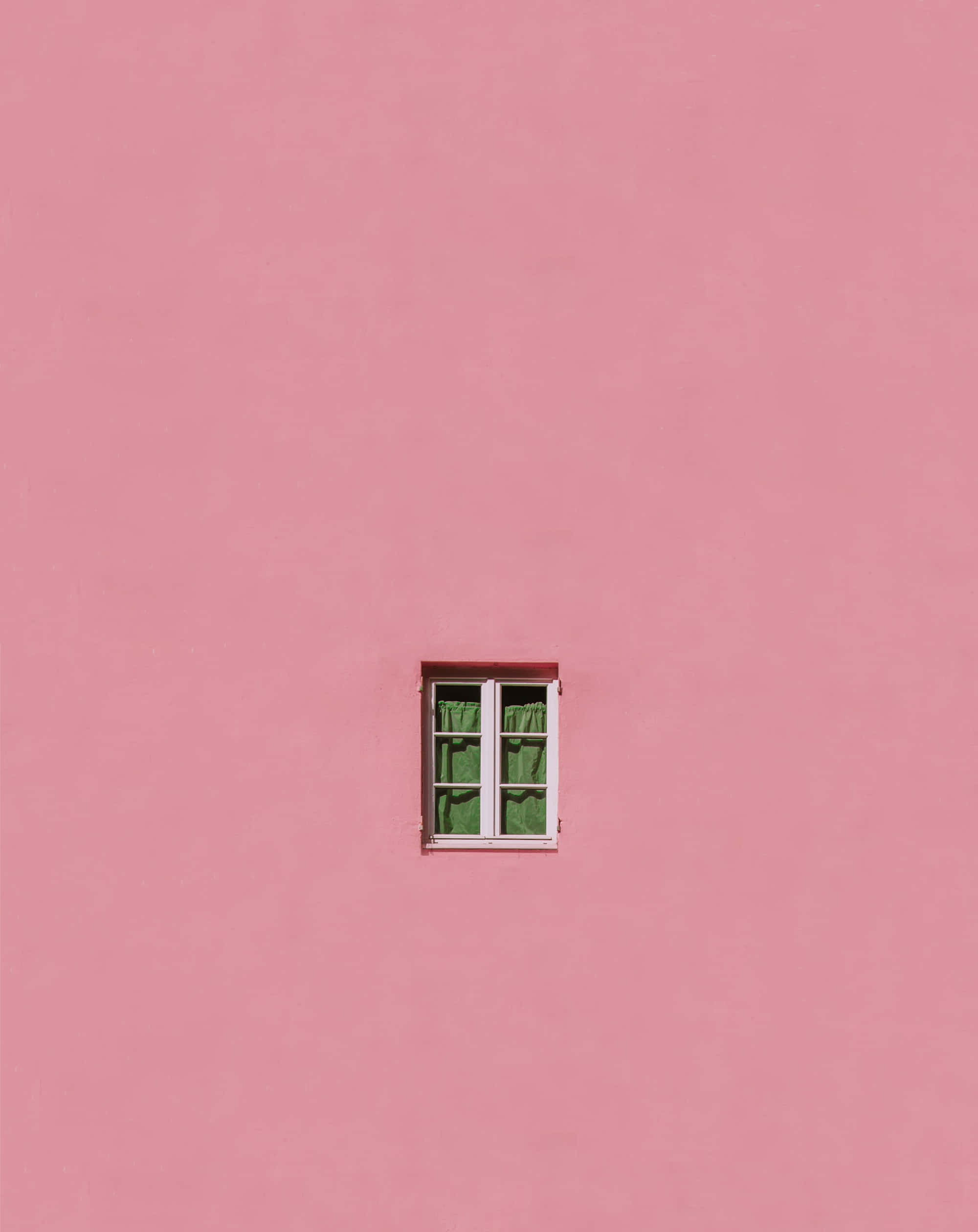 Pink Wall 桌布 壁紙 — 一扇白色框窗戶，配有綠色窗簾，位於廣闊光滑的粉紅色牆壁中央。