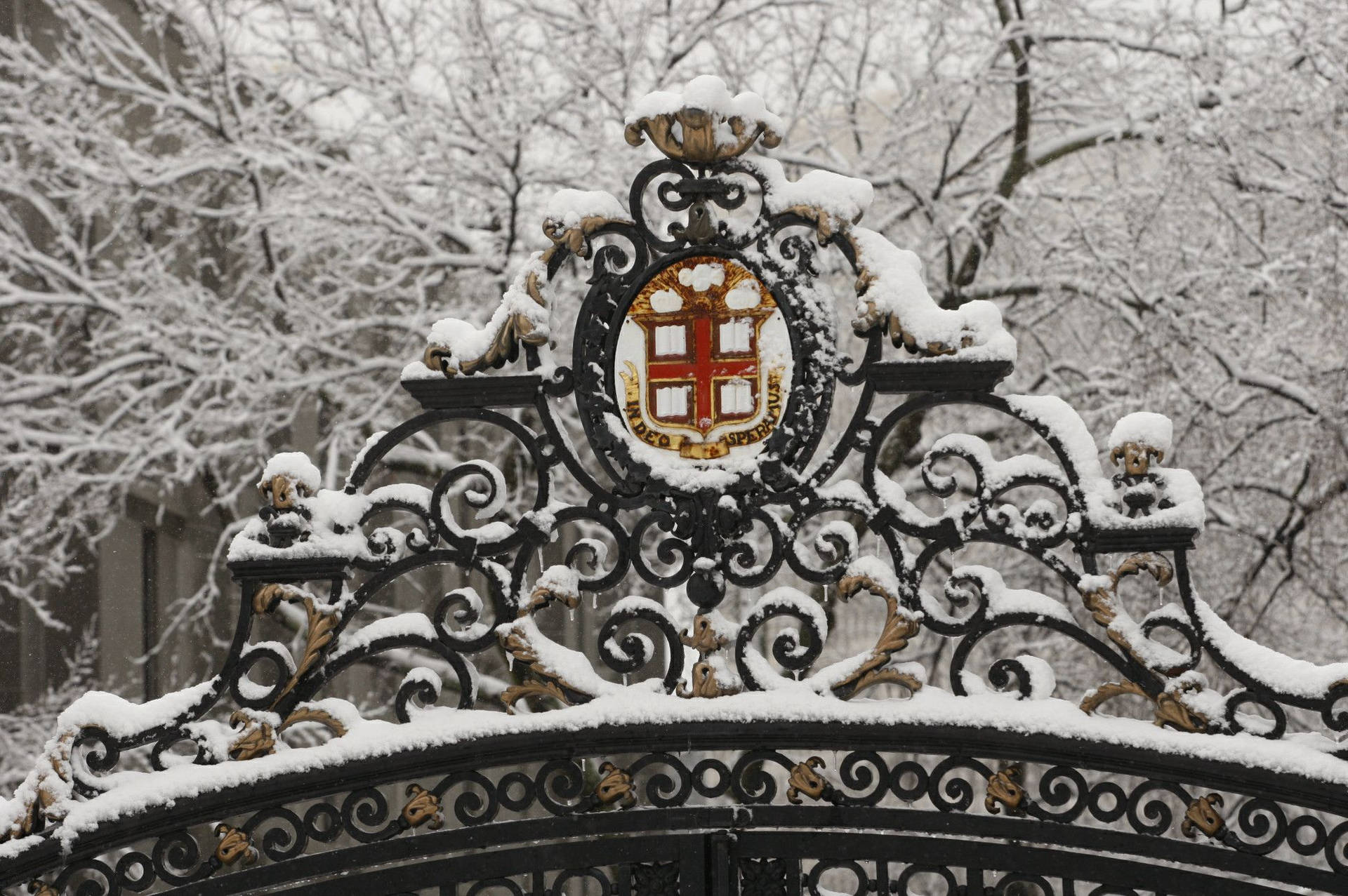  壁紙 — 一扇裝飾華麗的鍛鐵大門，覆蓋著新雪，中央有一個紅金色徽章，位於精緻的渦卷花紋之上，背景是白雪皚皚的冬日景色。