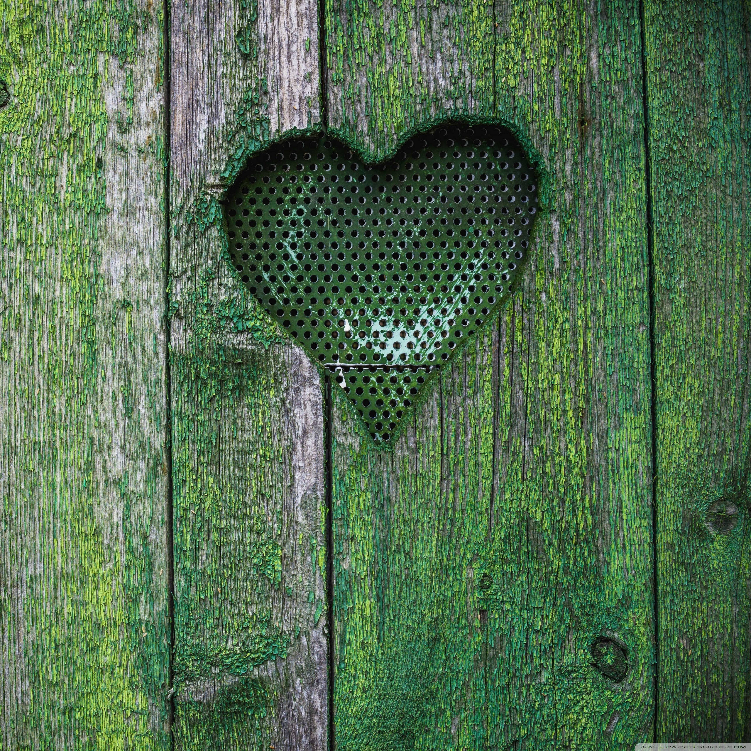 Green Heart 桌布 壁紙 — 一扇風化的綠色木門上有一個心形穿孔金屬鏤空，露出黑暗的內部。