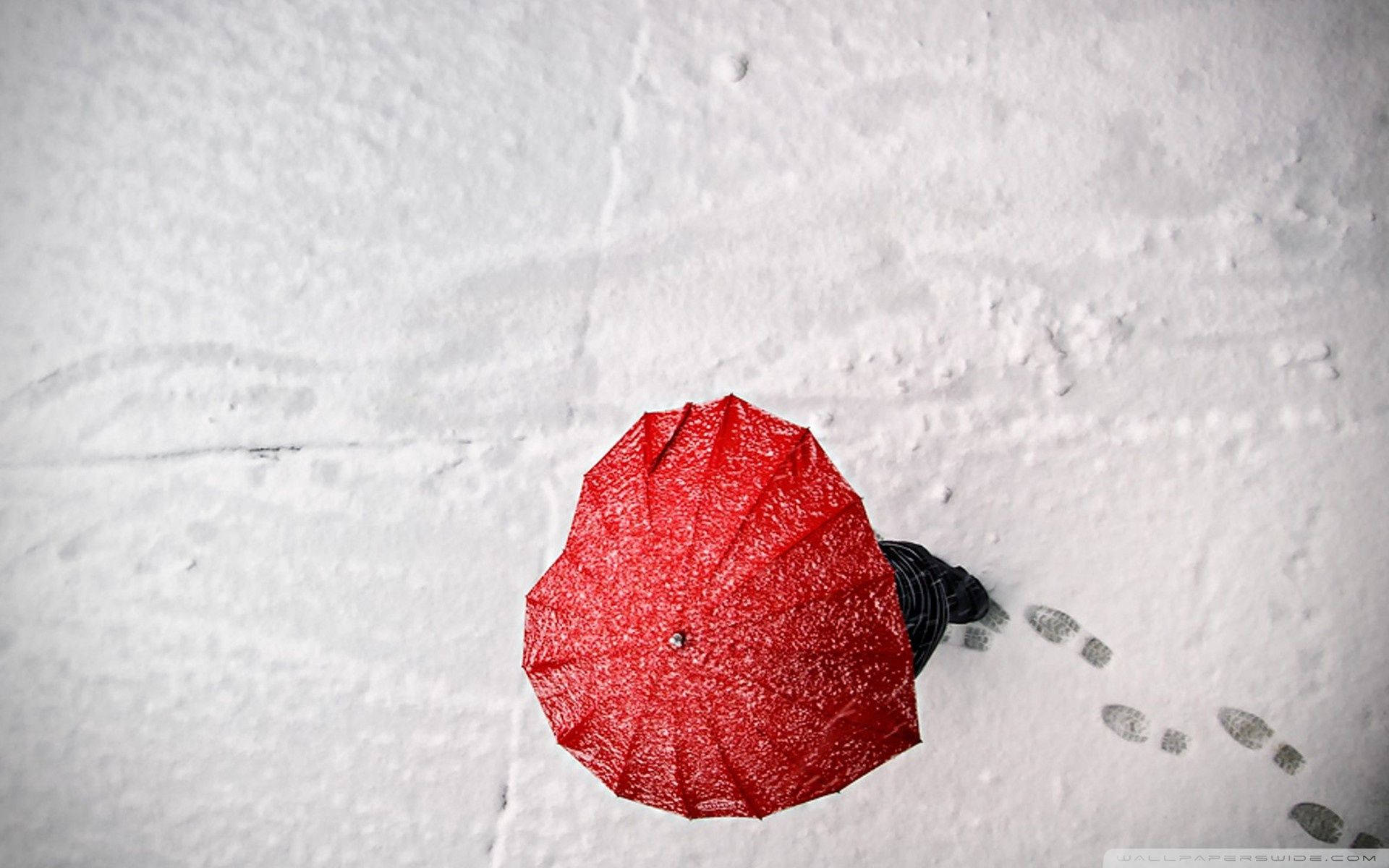 二月 桌布 壁紙 — 一把孤獨的紅色雨傘，上面有雪花，在廣闊的雪地上，腳印延伸開去，格外突出。