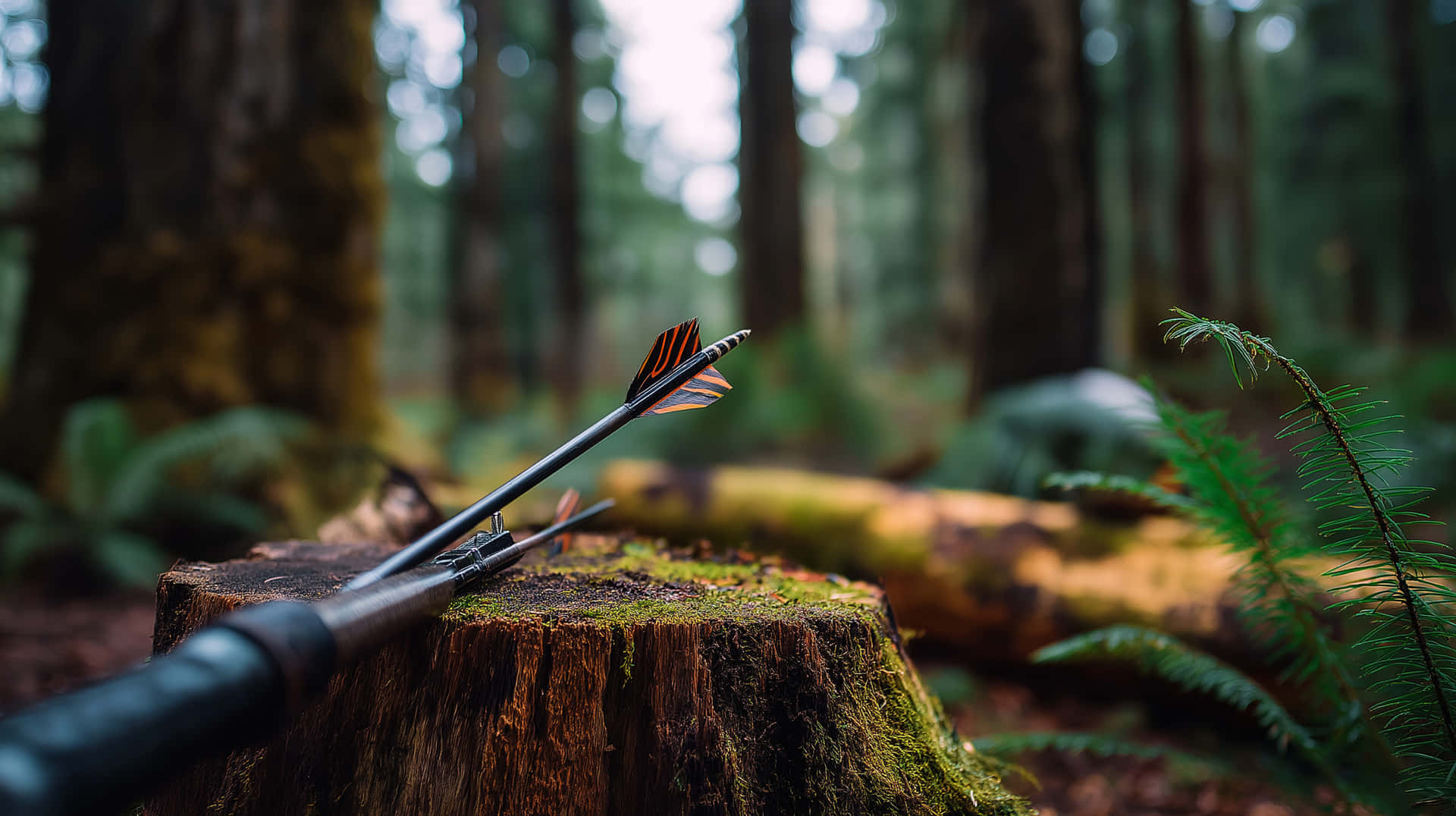 Archery Arrow Rest on Mossy Tree Stump in a Forest Setting 壁紙 — 一把弓和箭放在長滿苔蘚的樹樁上，背景是霧氣瀰漫的森林，有蕨類植物和模糊的樹幹。