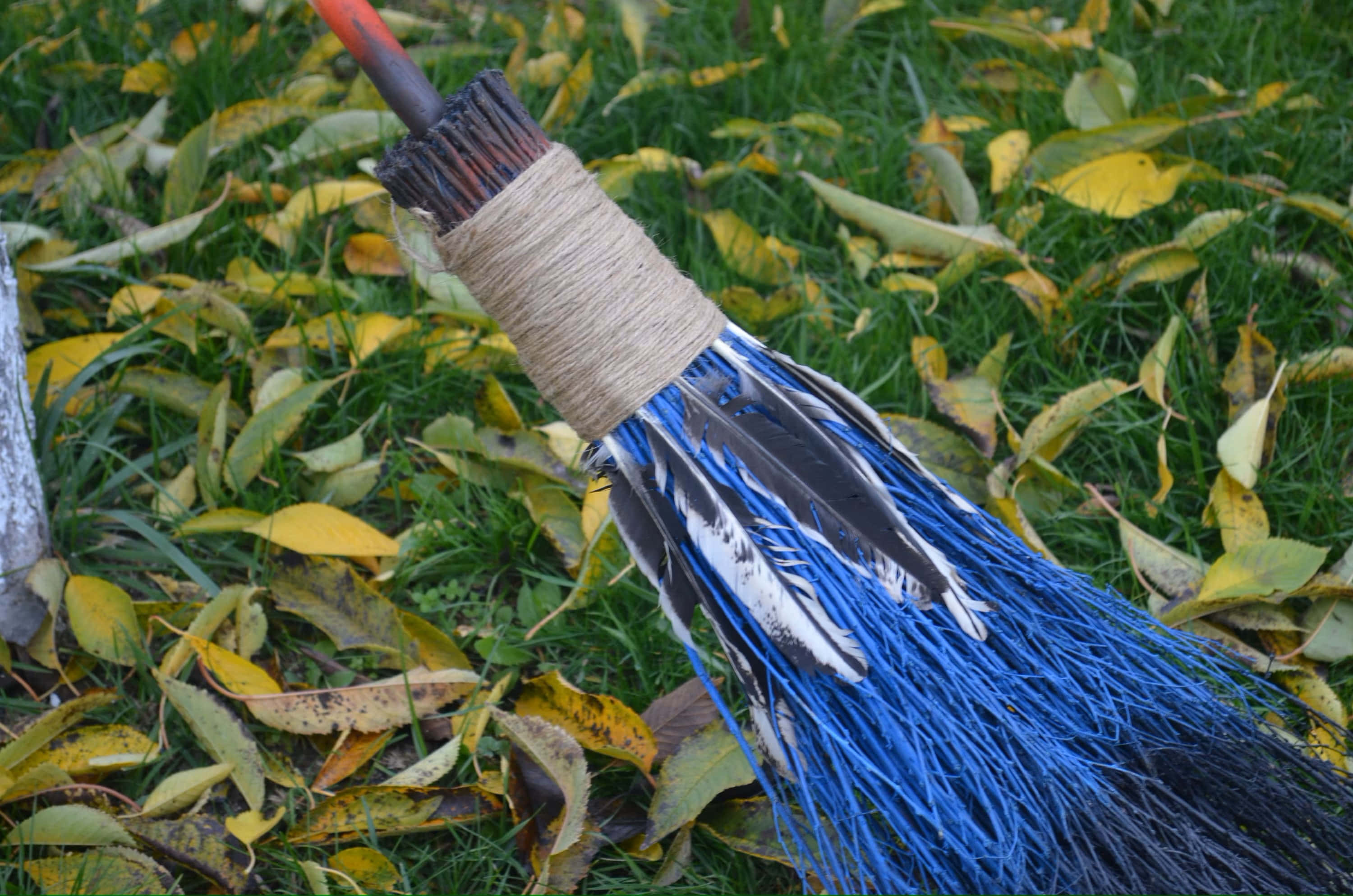 Witches Broom 桌布 壁紙 — 一把手工製作的掃帚，帶有藍色和黑色羽毛，躺在散落著黃色秋葉的草地上。