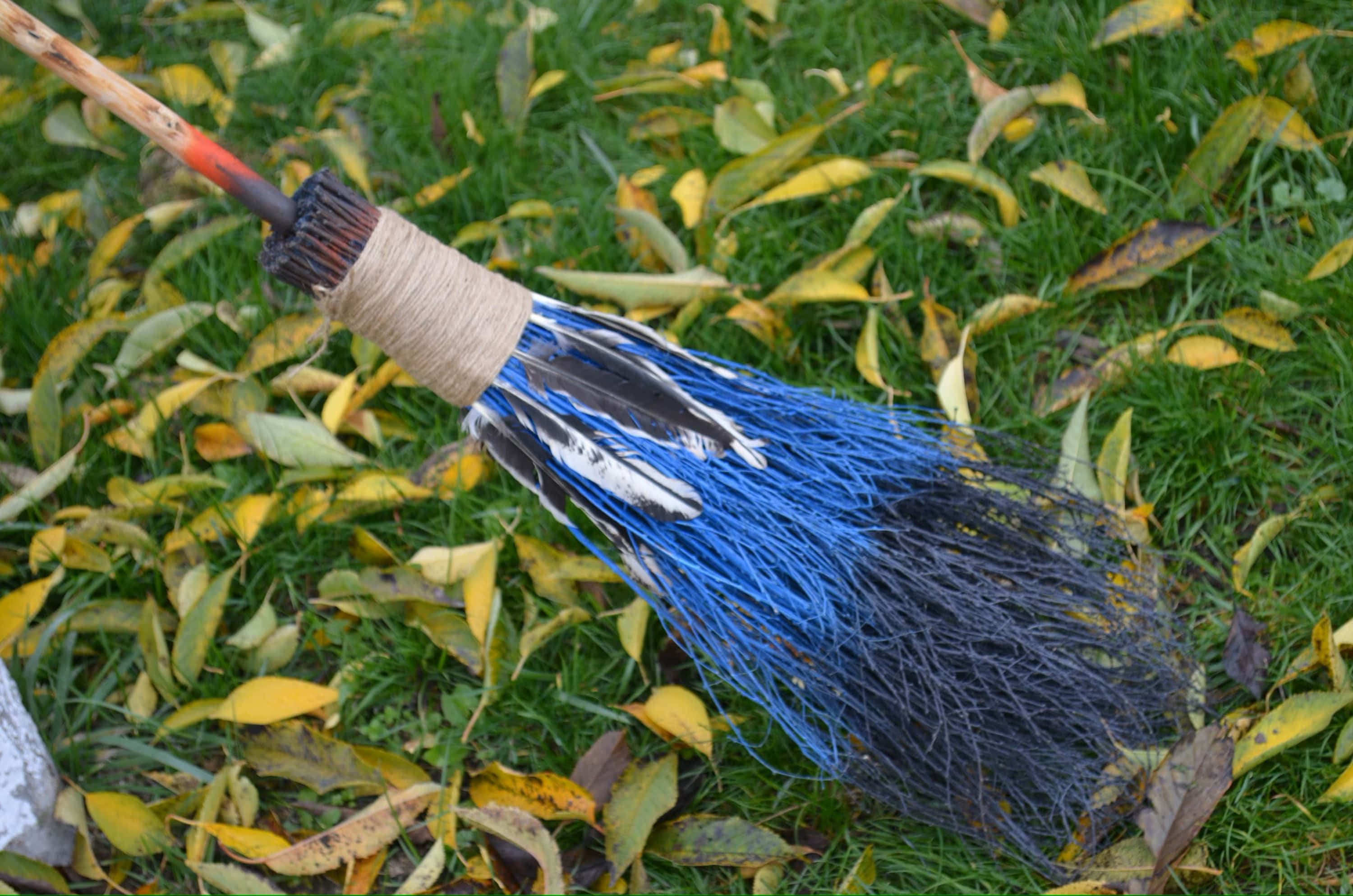 Witches Broom 桌布 壁紙 — 一把手工製作的掃帚，帶有藍色和黑色羽毛，放在散落著黃色秋葉的草地上。