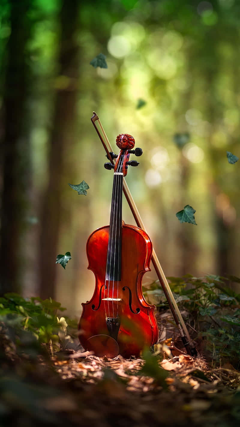 violin 桌布 壁紙 — 一把拋光的紅色小提琴和琴弓放在森林地面上，陽光穿過樹木，樹葉飄過。