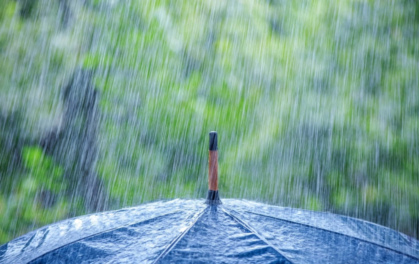 Raining 桌布 壁紙 — 一把深藍色雨傘抵擋著大雨，背景是模糊的綠色樹葉。