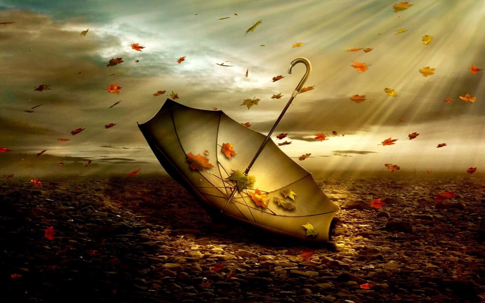 Wind 桌布 壁紙 — 一把破傘躺在鵝卵石上，秋葉在穿過暴風雲層的金色陽光中旋轉。