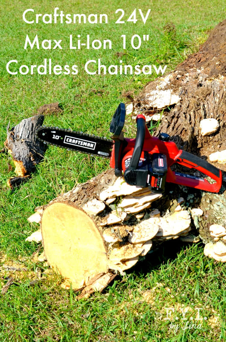 工具 桌布 壁紙 — 一把紅色Craftsman無線電鋸擱在一個剛砍伐的、長滿白色蘑菇的樹樁上，位於陽光明媚的草地上。