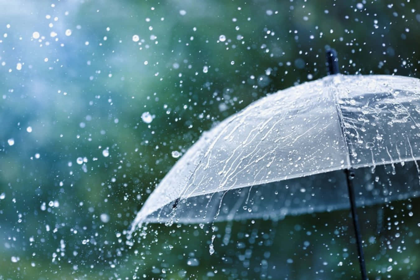 Raining 桌布 壁紙 — 一把透明雨傘在模糊的綠色背景下閃爍著雨滴，水滴在空中飛濺。