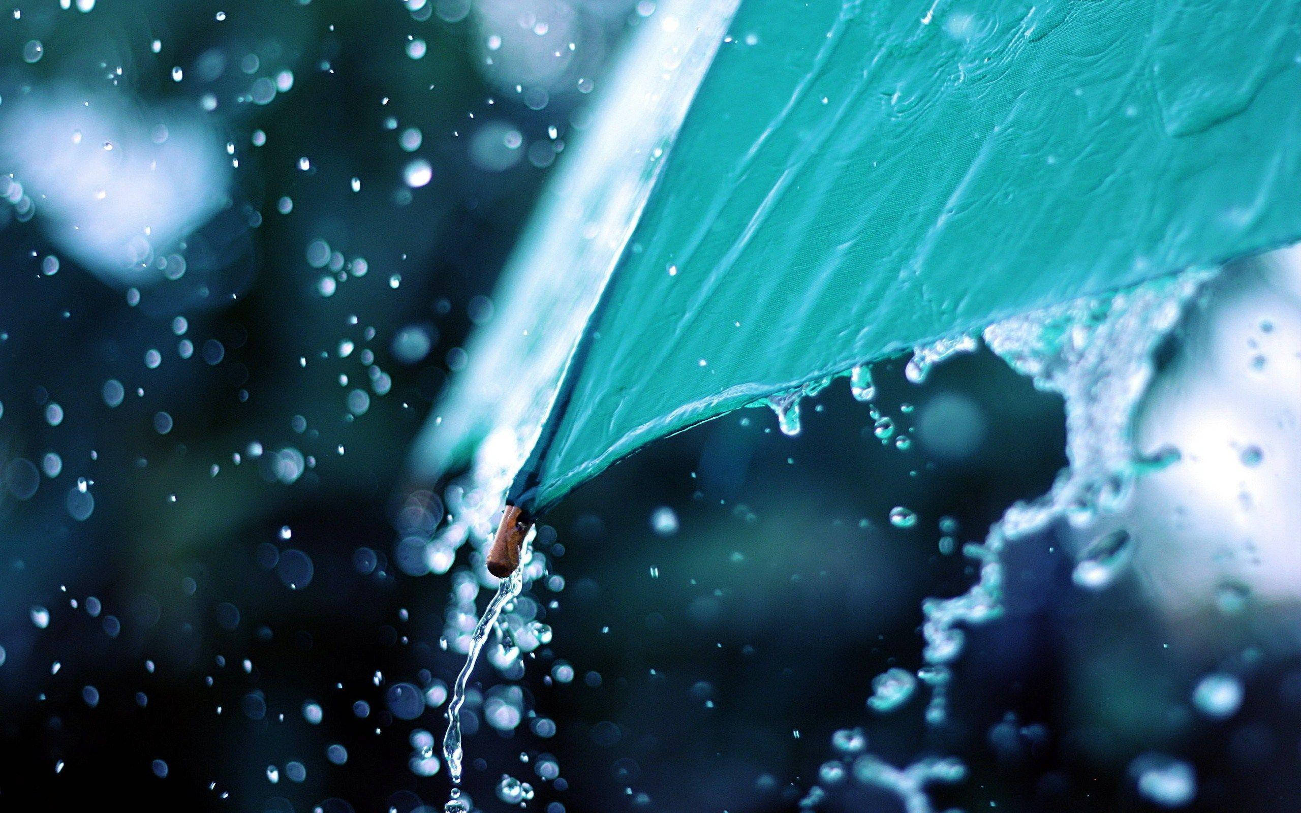 Wet 桌布 壁紙 — 一把青綠色雨傘在雨中場景滴落水珠，帶有閃爍的水滴和模糊的背景散景。