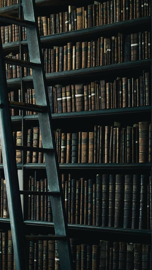 Library 桌布 壁紙 — 一把高金屬梯子斜靠在陰暗的書架上，書架塞滿了陳舊的皮面精裝書，位於燈光昏暗的圖書館中。