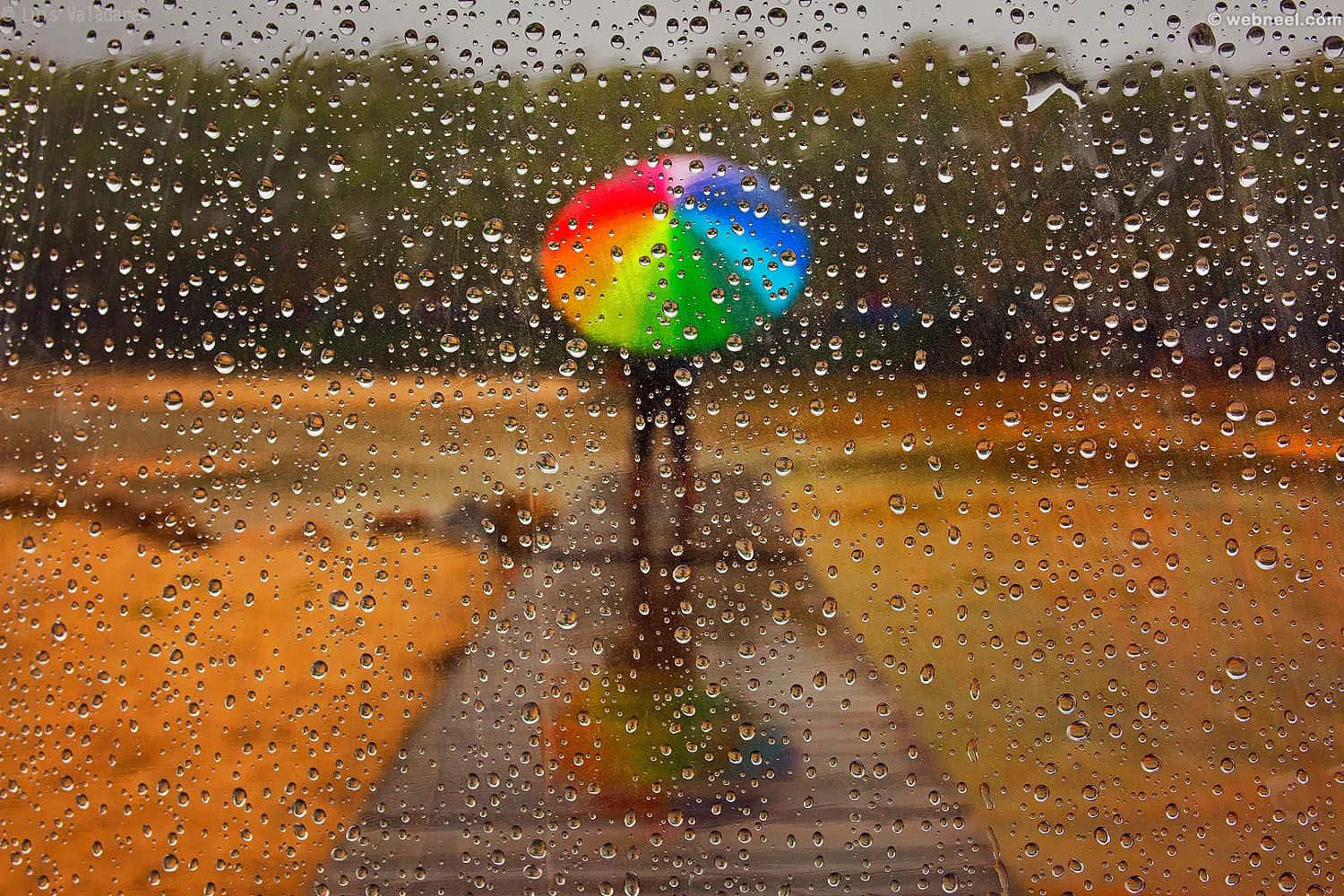 Raining 桌布 壁紙 — 一把鮮豔的彩虹傘保護著一個在濕木路上行走的人，透過佈滿雨點的窗戶觀看。