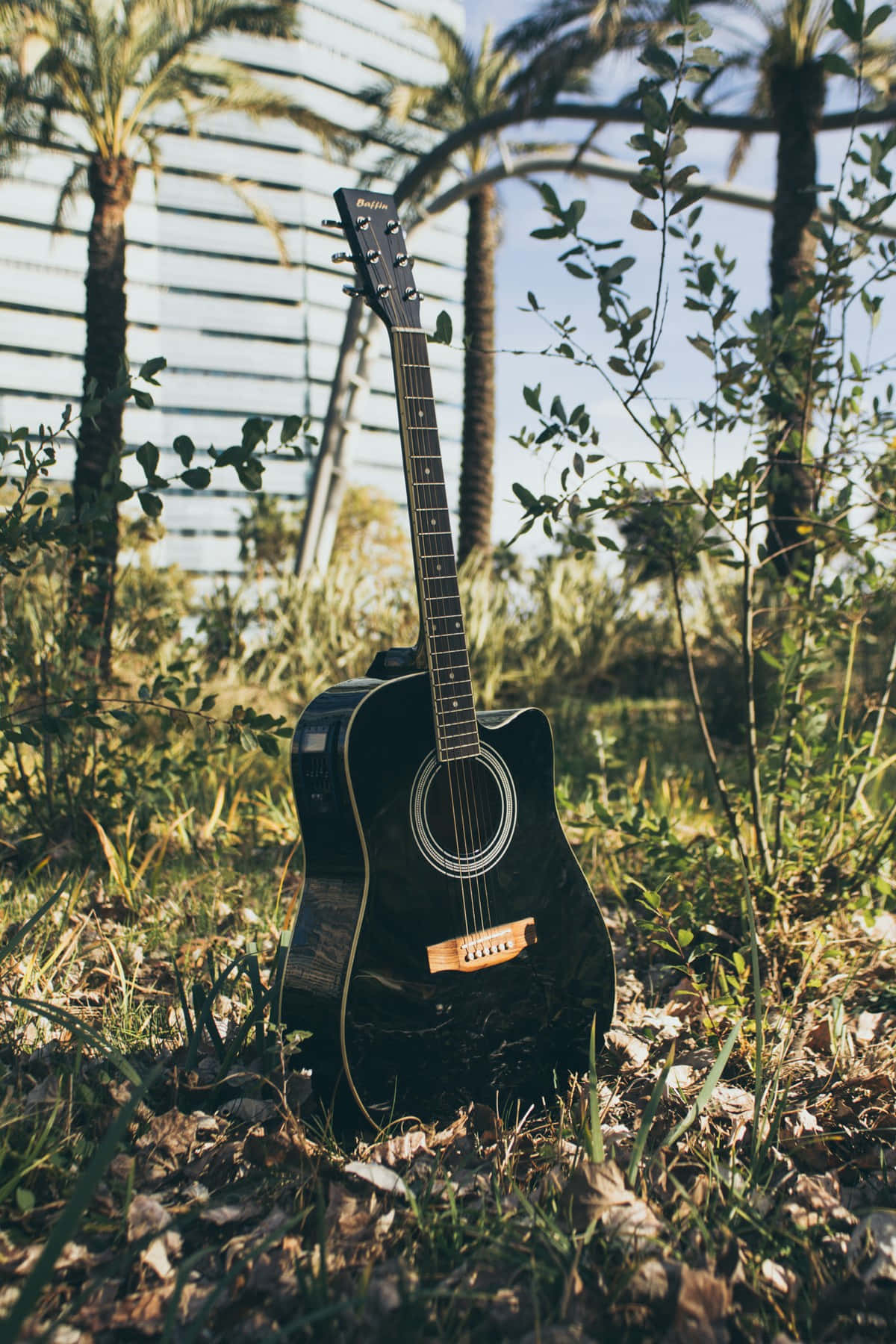 Guitar Aesthetic 桌布 壁紙 — 一把黑色木吉他豎立在陽光普照的草地上，周圍有棕櫚樹和綠植。