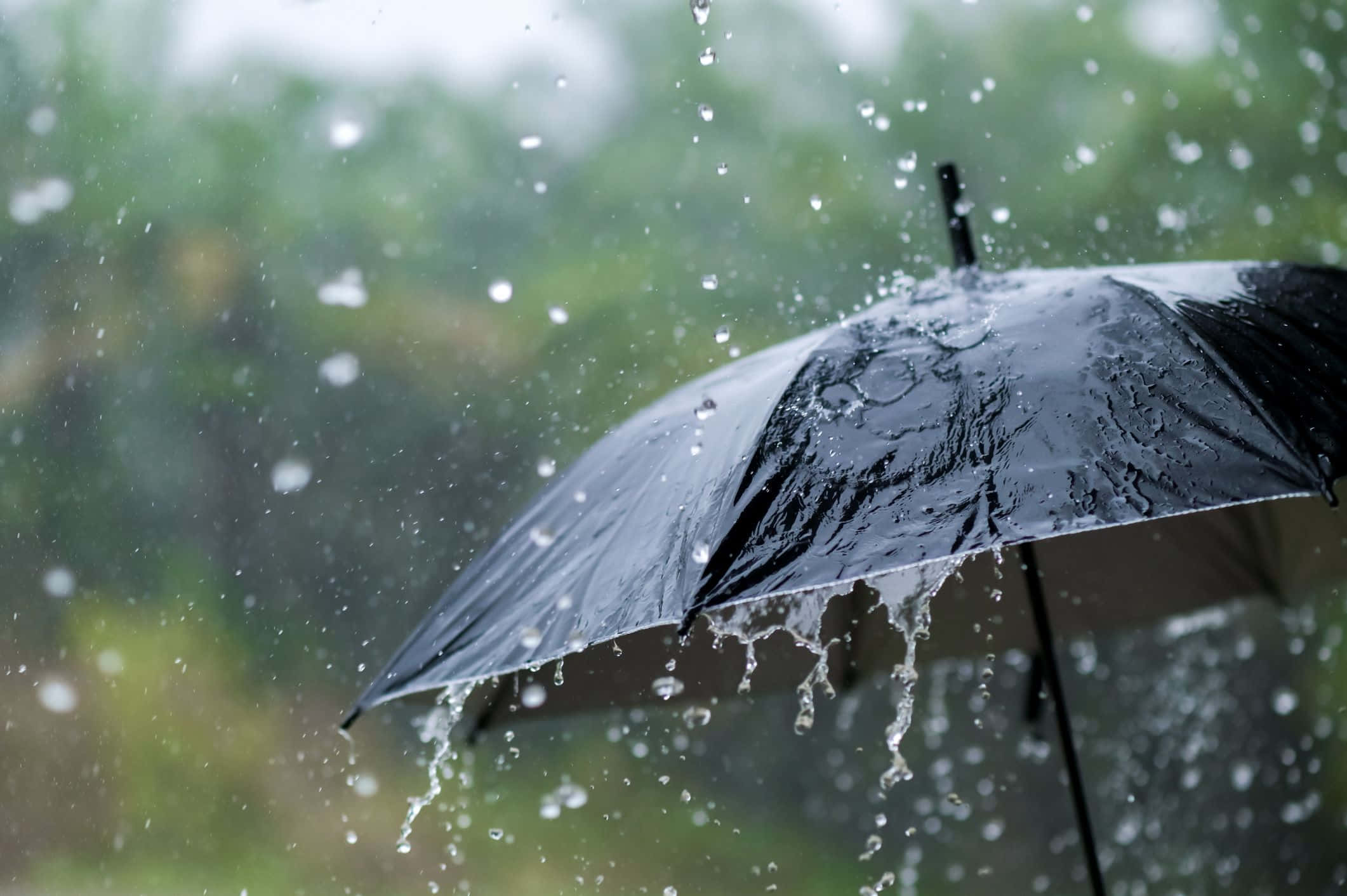 下雨 桌布 壁紙 — 一把黑色雨傘抵擋著大雨，水滴在模糊的綠色背景上飛濺滴落。