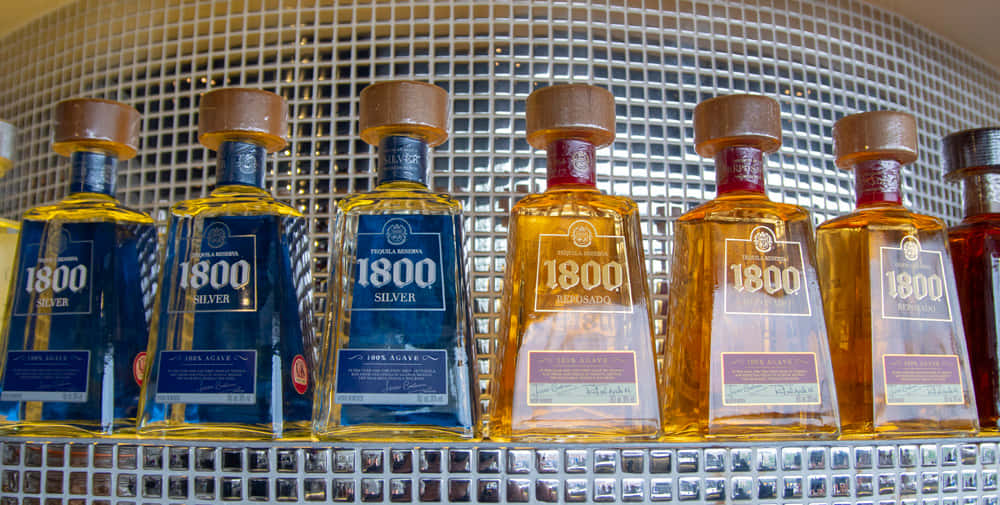 alcohol 桌布 壁紙 — 一排1800龍舌蘭酒瓶，銀色和雷波薩多品種，在明亮的燈光下閃耀在瓷磚吧檯架上。