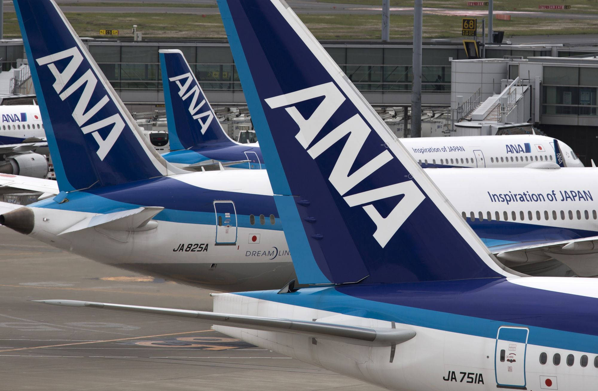 日本 桌布 壁紙 — 一排ANA飛機停在機場閘口，帶有藍白尾翼和「Inspiration of JAPAN」塗裝。