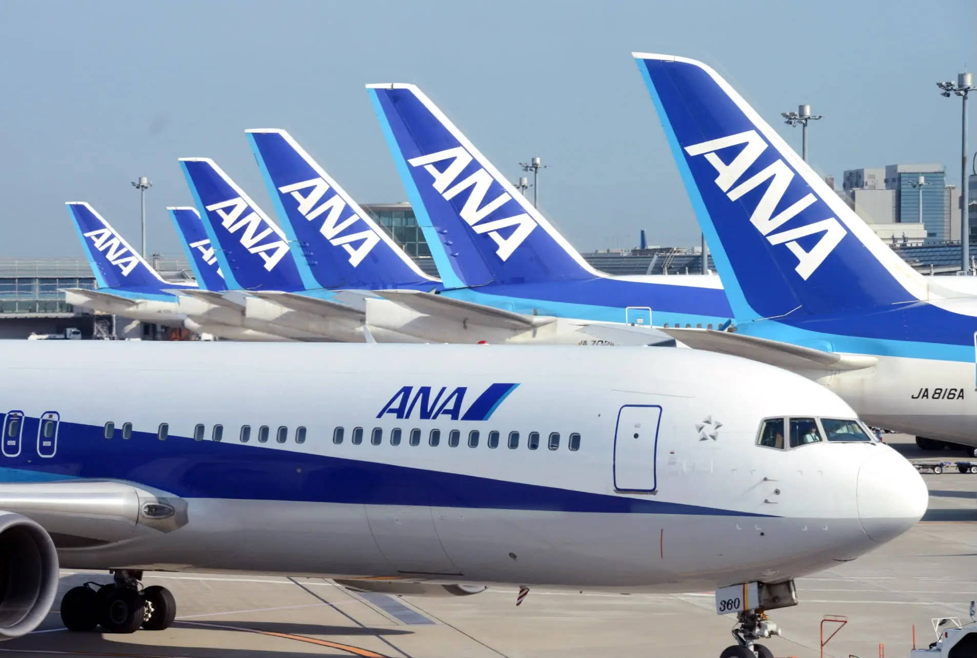  壁紙 — 一排ANA飛機停放在機場停機坪上，背景是晴朗的藍天和城市建築。