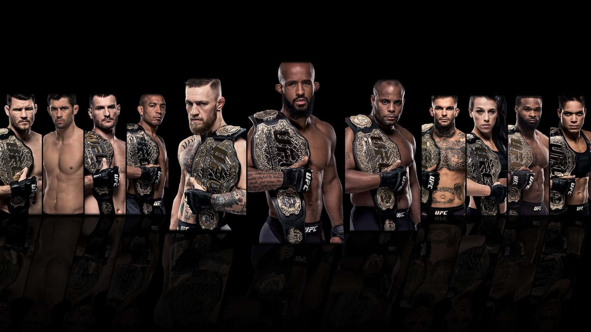 UFC 桌布 壁紙 — 一排UFC拳手佩戴黑色和金色冠軍腰帶，站在有反射地板的深色背景前。