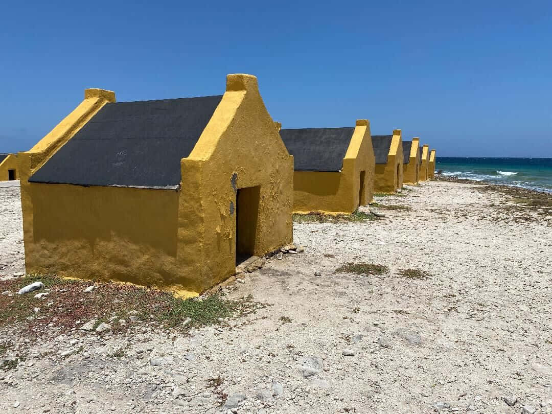 Hut 桌布 壁紙 — 一排亮黃色小屋配深色屋頂，排列在岩石海灘上，上方是清澈的藍天，伴隨著碧綠的海浪。