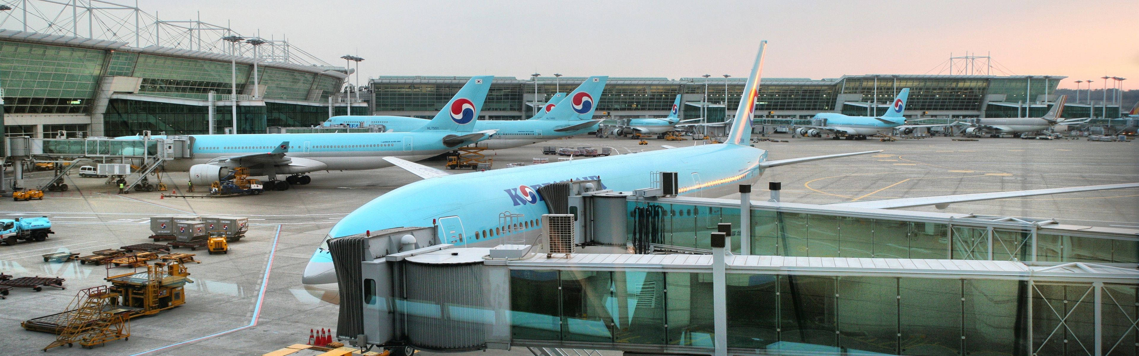 Airport 桌布 壁紙 — 一排大韓航空飛機在黃昏時停泊在機場航廈，天空呈現柔和的粉紅色和橙色色調。
