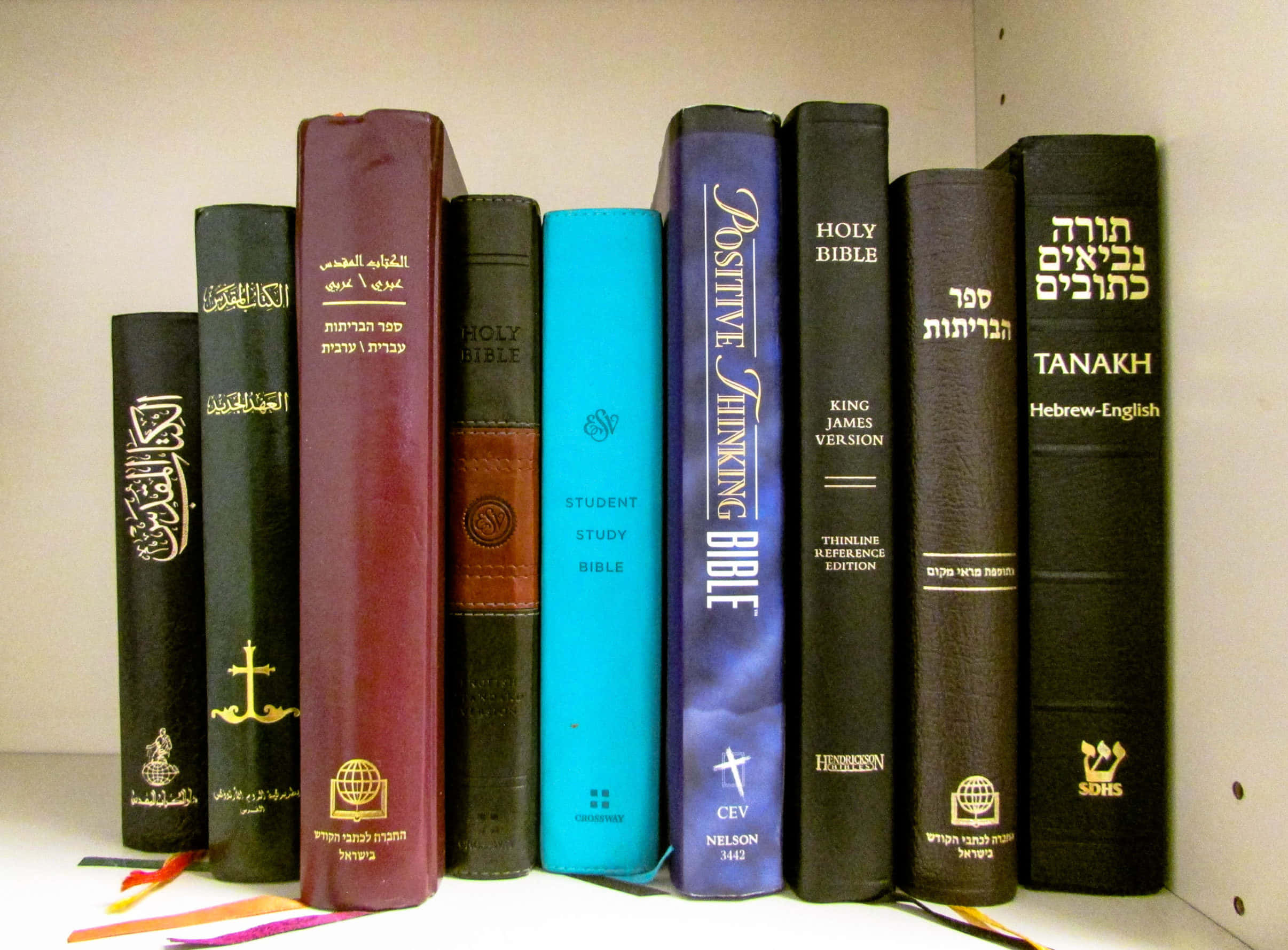 聖經 桌布 壁紙 — 一排宗教書籍，包括多種語言和版本的聖經和塔納赫，整齊地放在白色書架上。