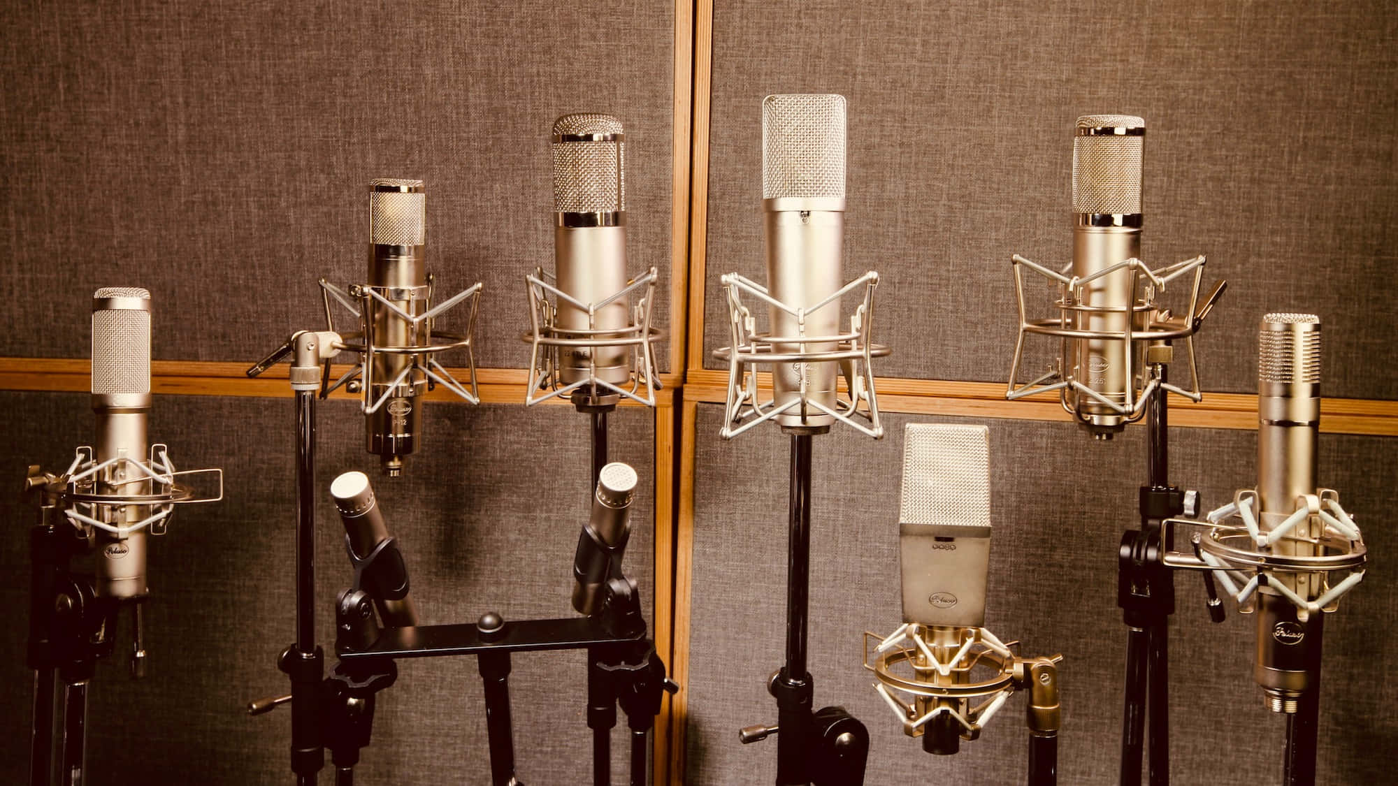 Microphones 桌布 壁紙 — 一排專業錄音室麥克風安裝在支架上，對著有紋理的隔音牆。
