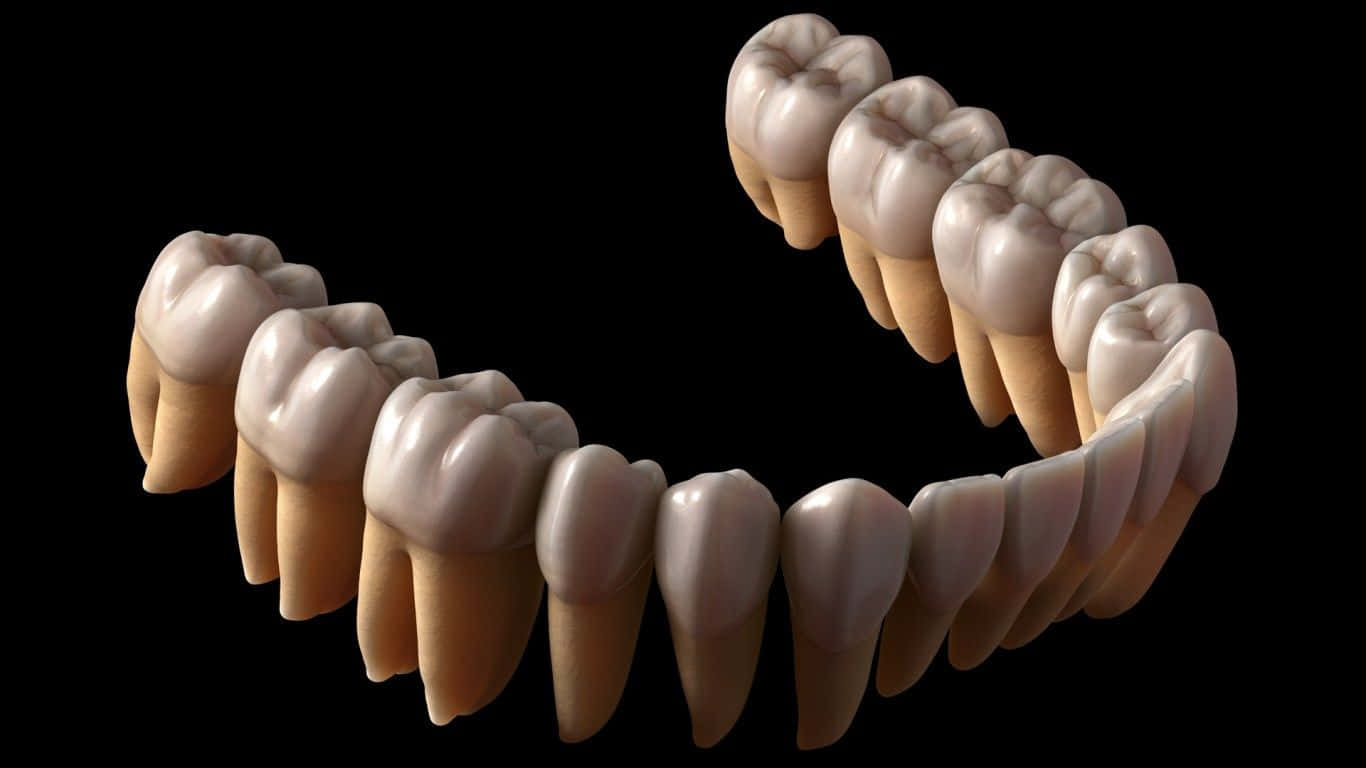 Dentistry 桌布 壁紙 — 一排彎曲的逼真人類牙齒，帶有詳細的琺瑯質和牙齦陰影，背景為黑色。