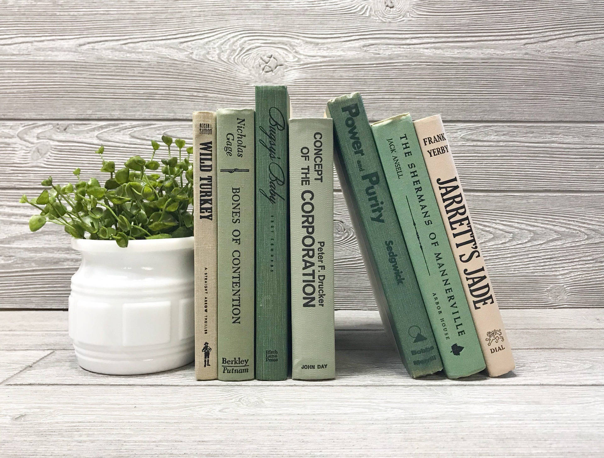 復古書籍和盆栽植物擺放在木質表面上。 — 鼠尾草綠美學 壁紙