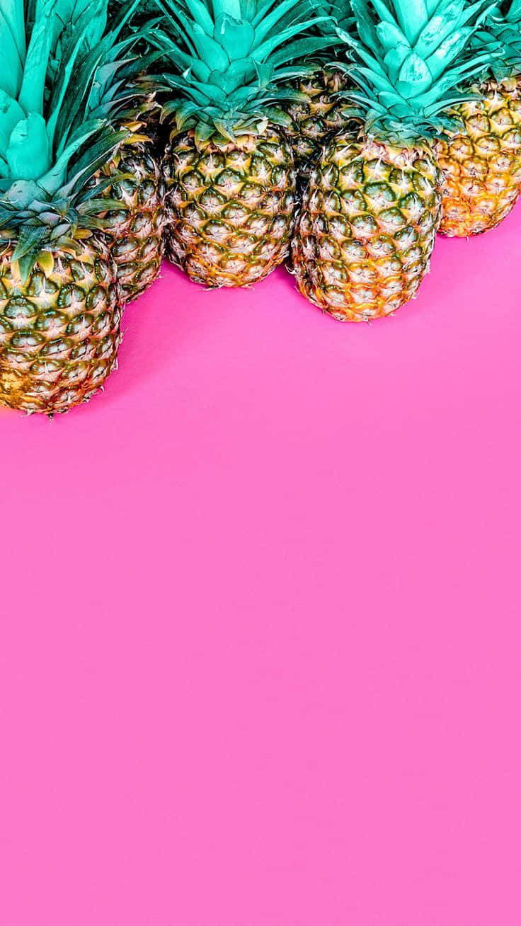 Summer iPhone 桌布 壁紙 — 一排成熟的鳳梨，帶有鮮綠色冠部，靠在鮮豔的粉紅色背景上。